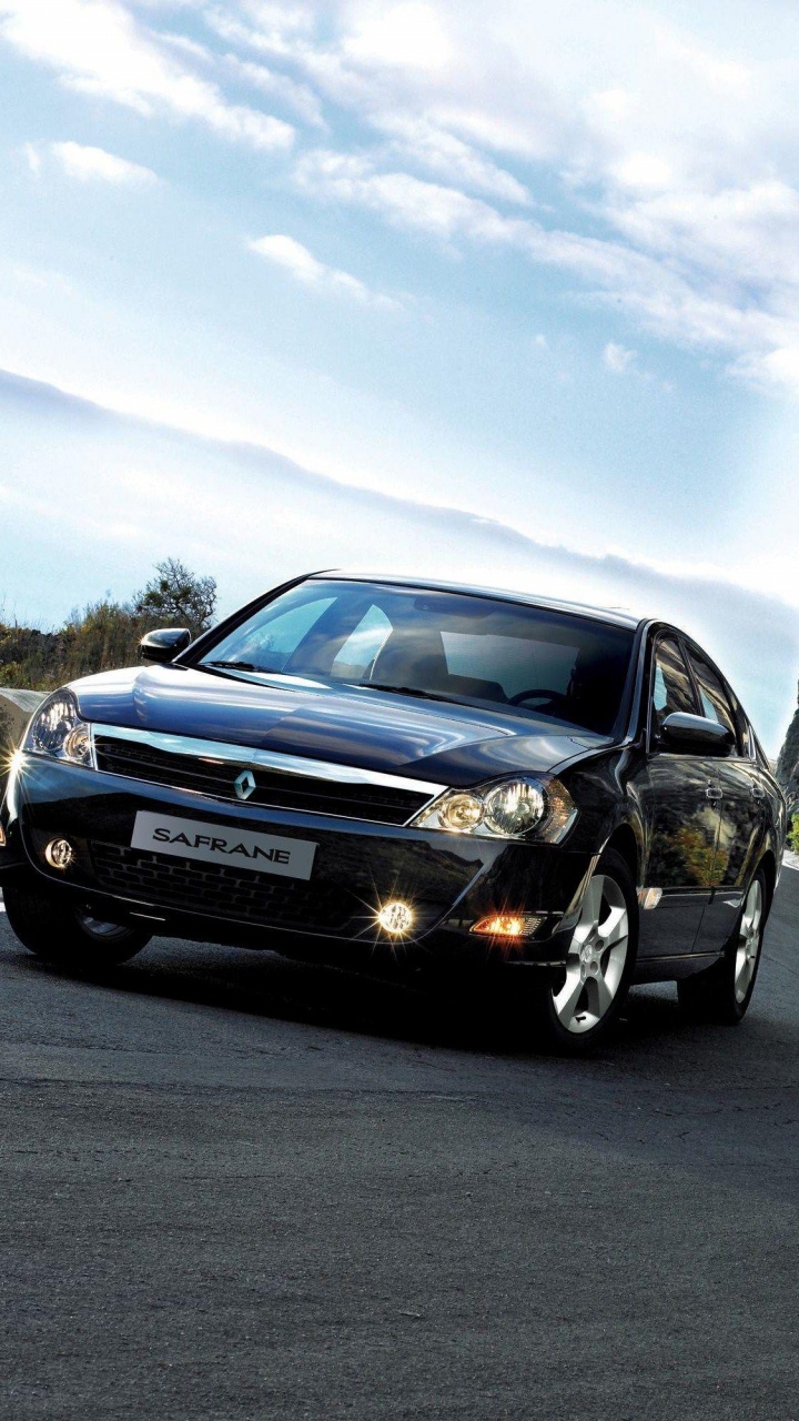 Car, Renault, Family Car, City Car, Hatchback. Wallpaper in 720x1280 Resolution