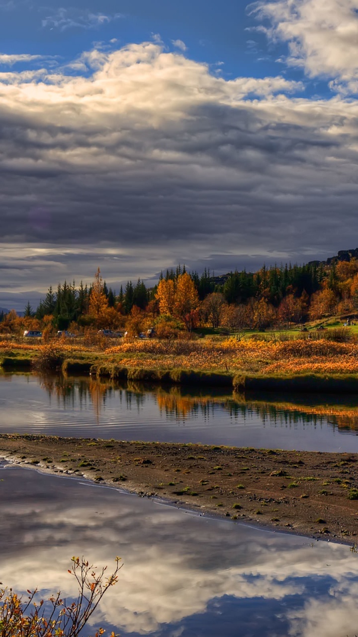 Brown and Green Trees Beside River Under White Clouds and Blue Sky During Daytime. Wallpaper in 720x1280 Resolution
