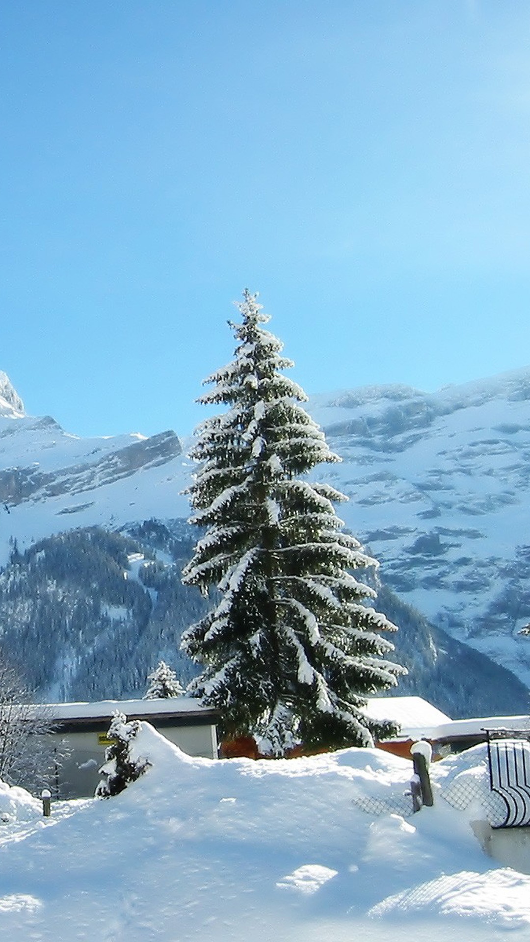 Casa de Madera Marrón Sobre Suelo Cubierto de Nieve Cerca de Pinos Verdes y Montañas Cubiertas de Nieve Durante. Wallpaper in 1080x1920 Resolution