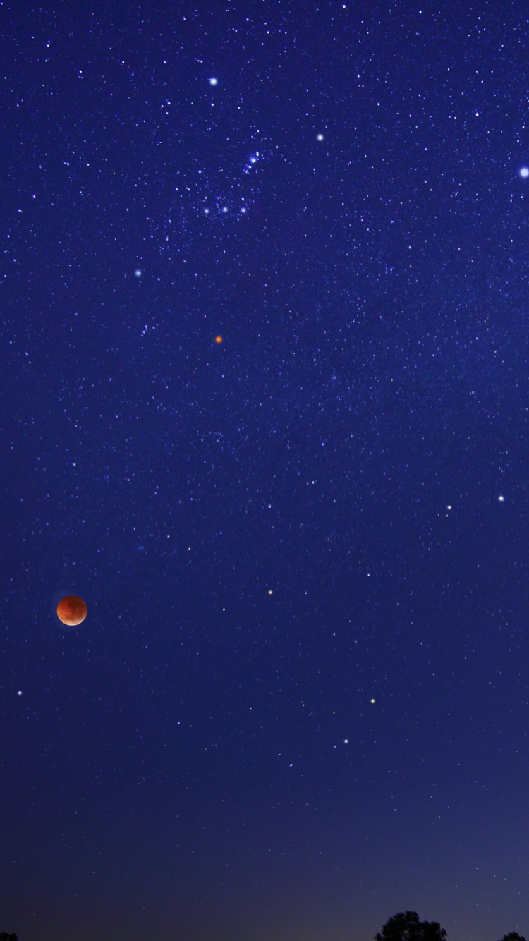 Silueta de Personas Bajo la Noche Estrellada. Wallpaper in 750x1334 Resolution