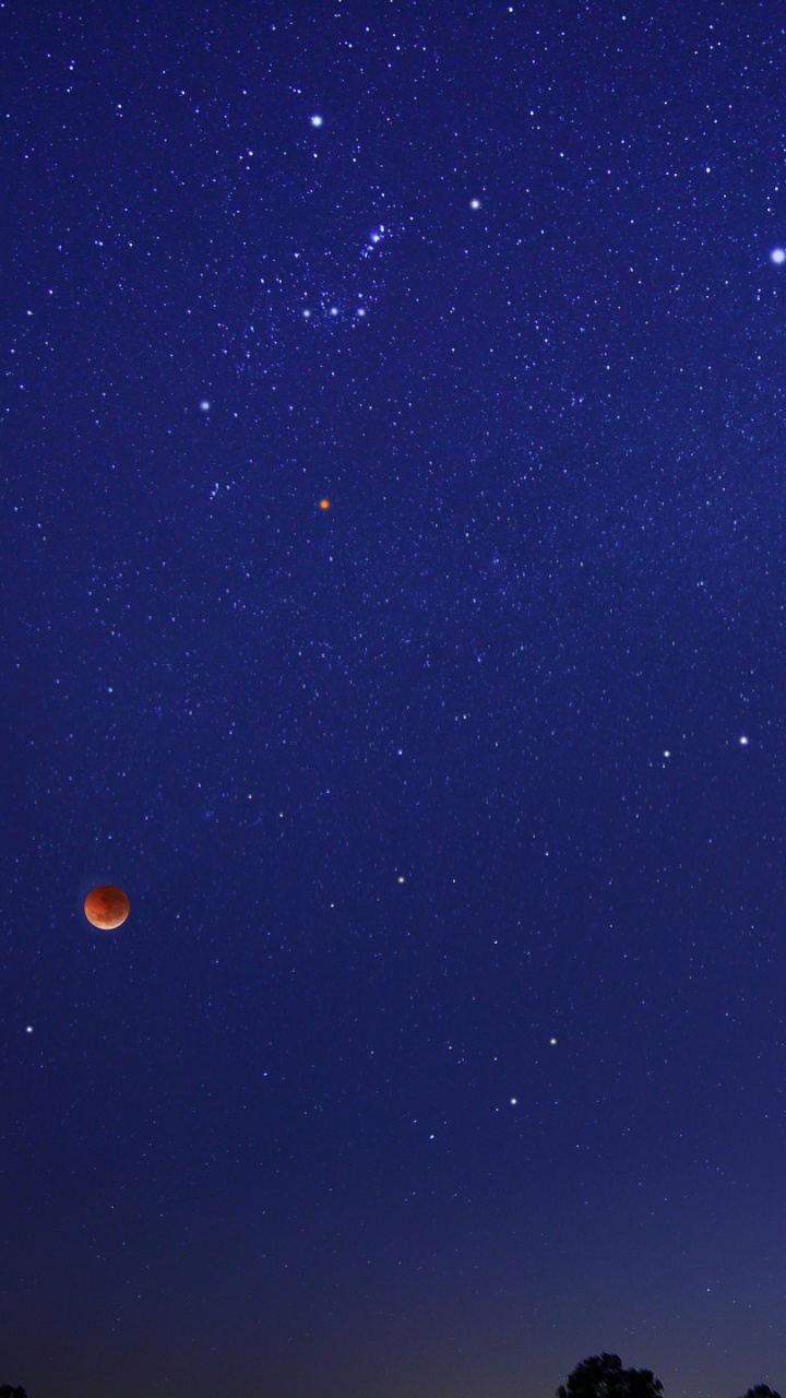 Silhouette de Personnes Sous la Nuit Étoilée. Wallpaper in 720x1280 Resolution