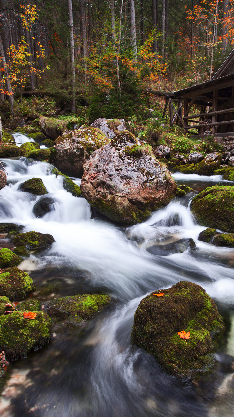 Brown Wooden House on Rocky River. Wallpaper in 750x1334 Resolution
