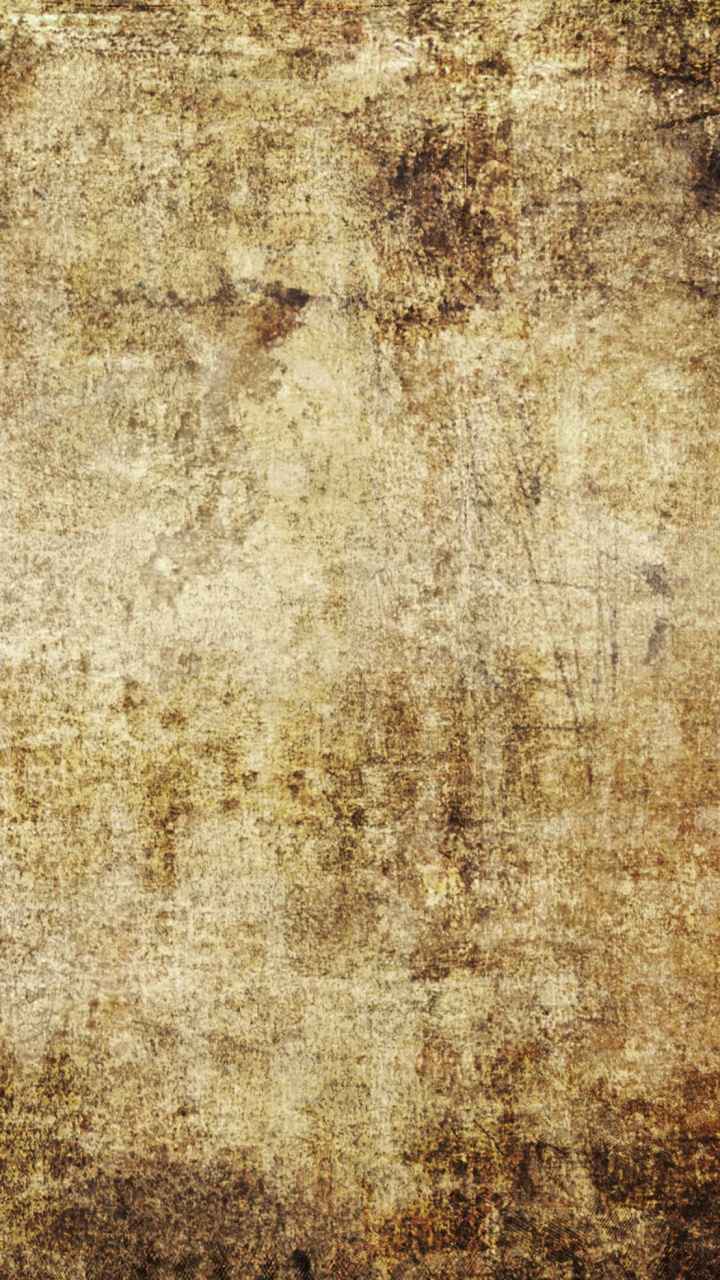 木, 枪筒, 草 壁纸 720x1280 允许