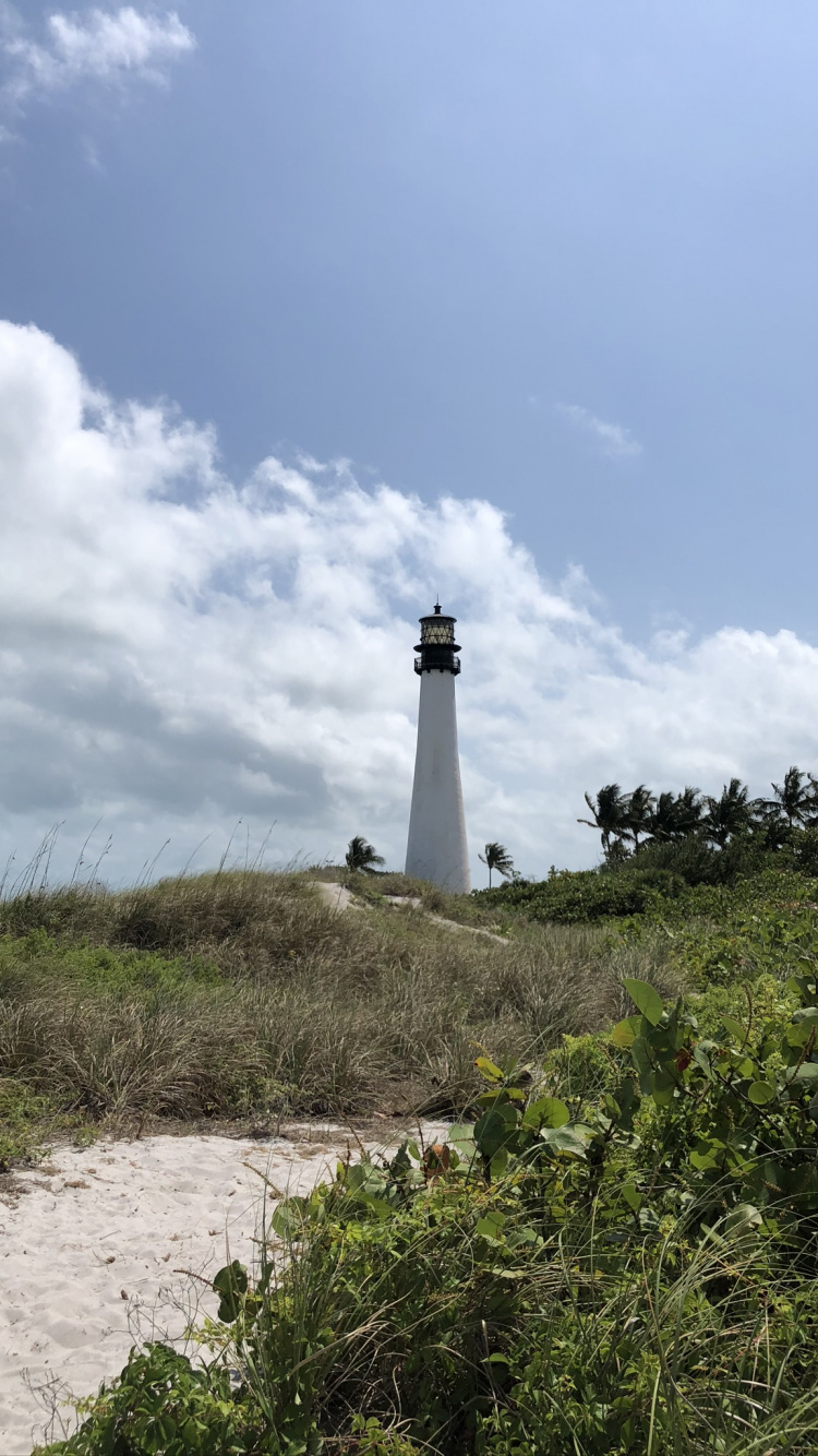 Lighthouse, Vegetation, Plant Community, Tower, Ecoregion. Wallpaper in 750x1334 Resolution