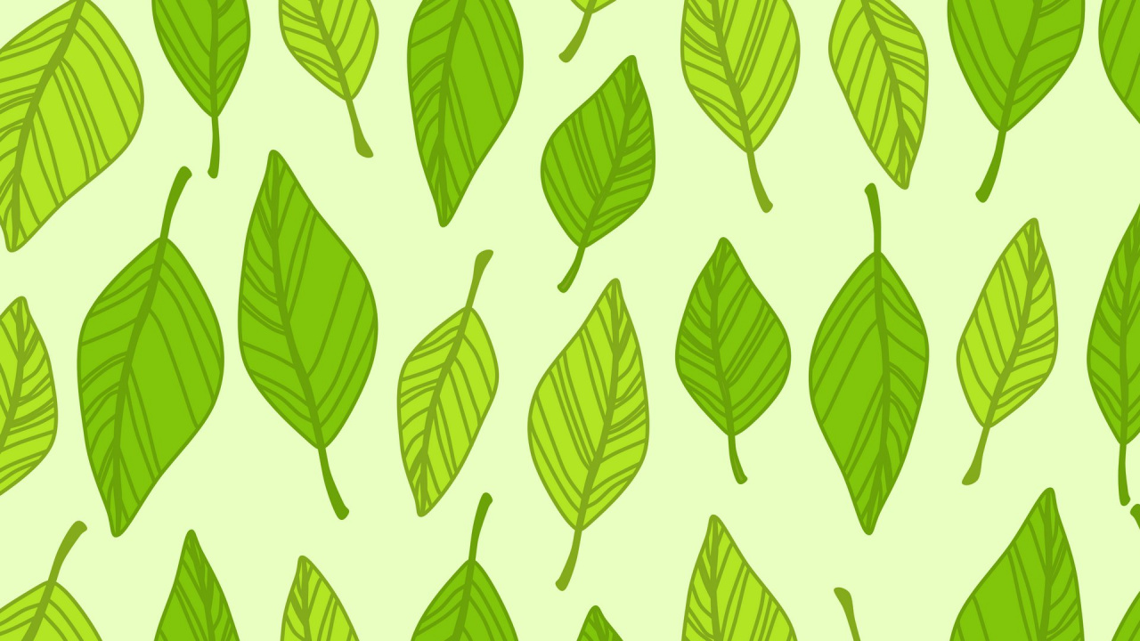 Green and White Leaves Illustration. Wallpaper in 1280x720 Resolution