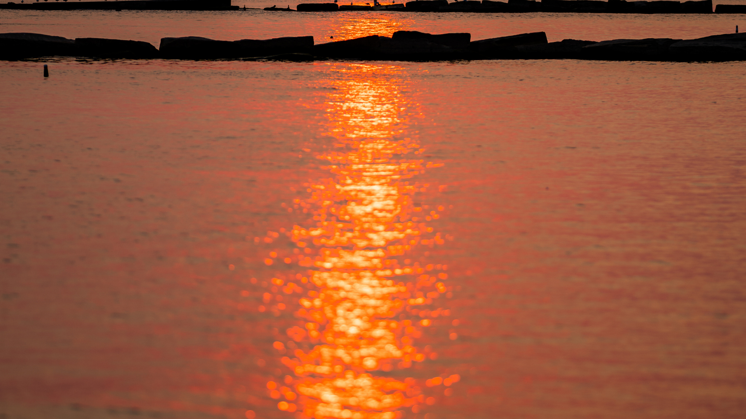 Reflection, Water, Water Resources, Atmosphere, Daytime. Wallpaper in 2560x1440 Resolution