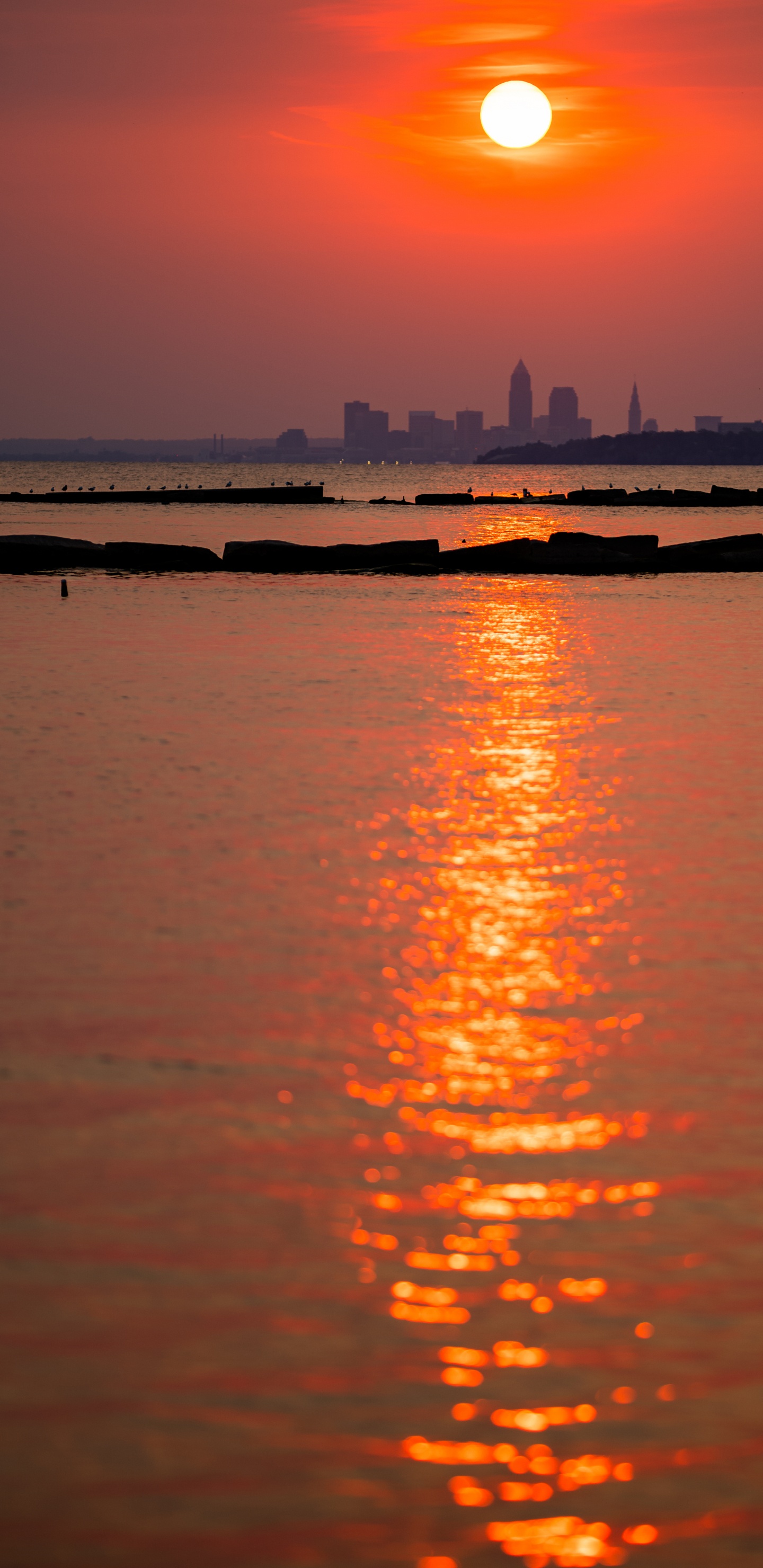 Reflexion, Wasser, Wasserressourcen, Atmosphäre, Tageszeit. Wallpaper in 1440x2960 Resolution