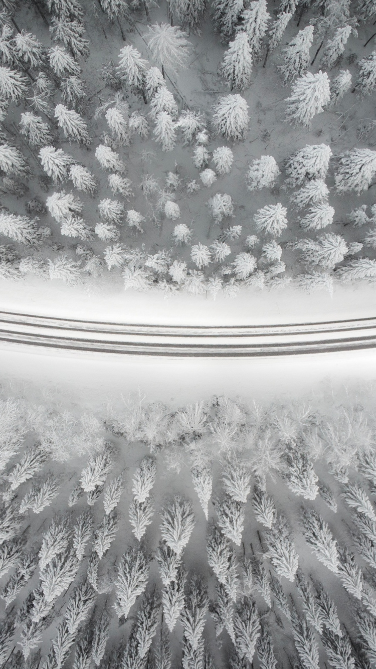 2880 x 1800, Muster, Baum, Wei, Himmel. Wallpaper in 750x1334 Resolution