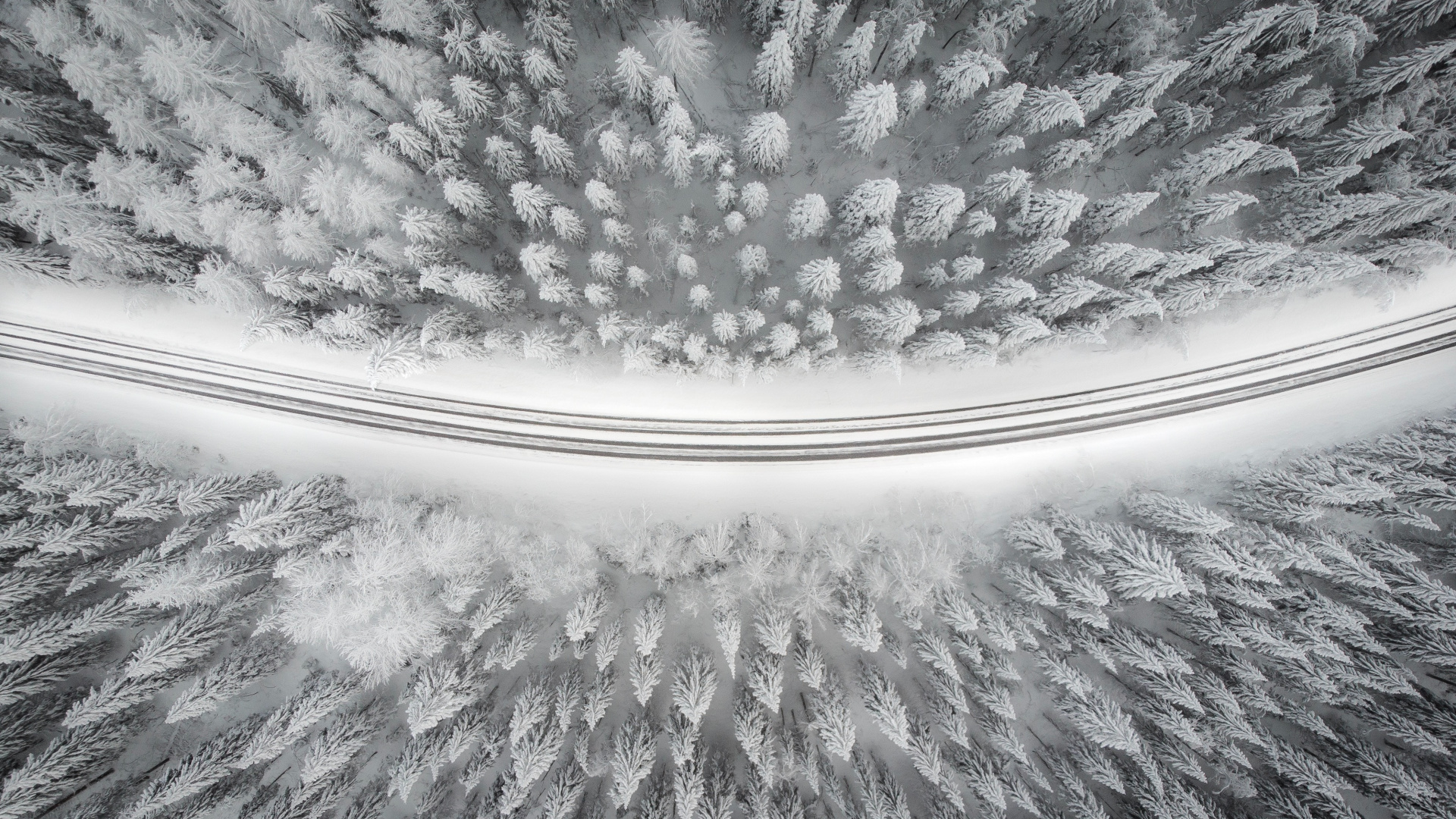 2880 x 1800, White, Ciel, Noir et Blanc, Birds Eye View. Wallpaper in 1920x1080 Resolution