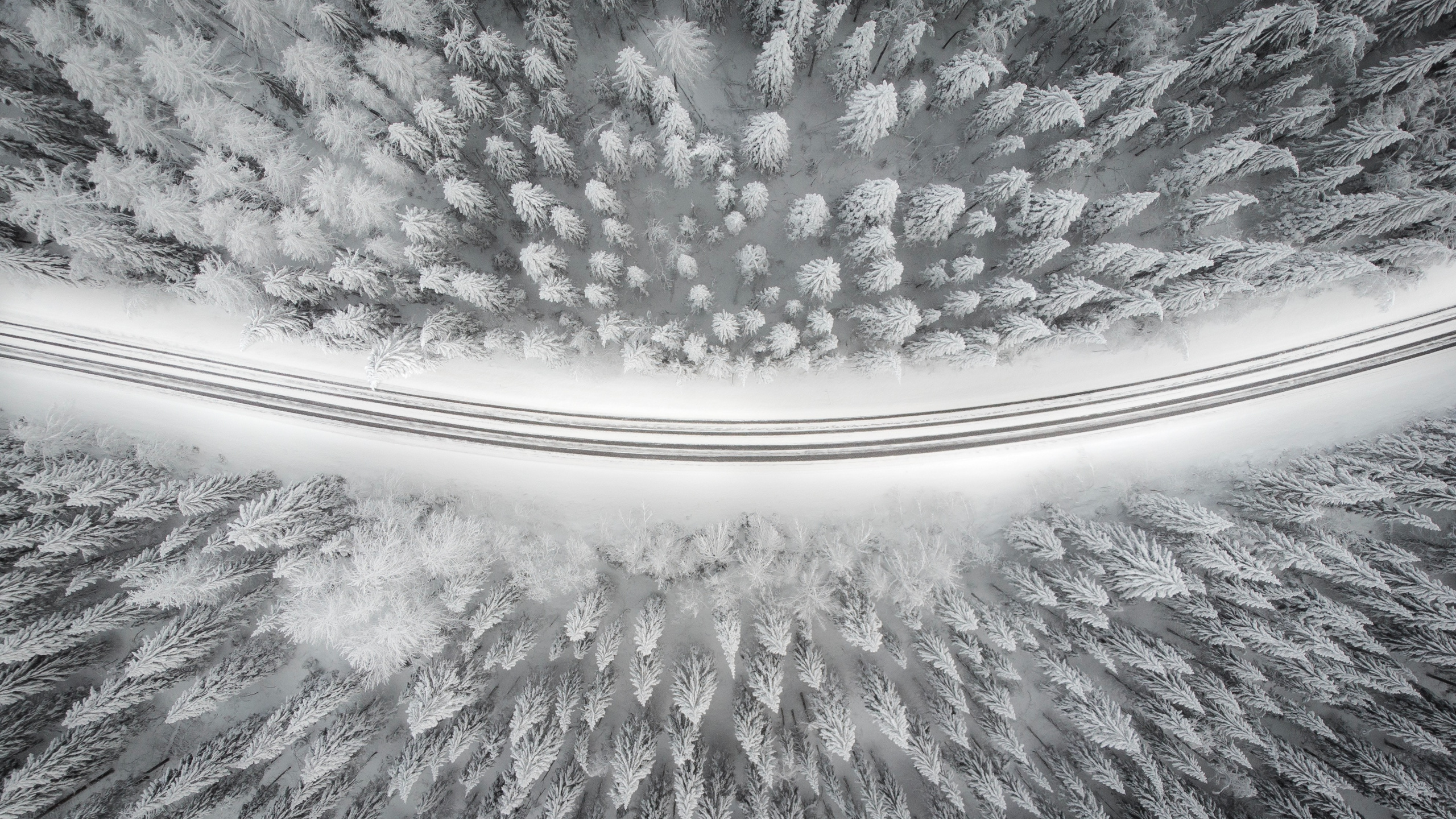 2880 x 1800, White, Ciel, Noir et Blanc, Birds Eye View. Wallpaper in 2560x1440 Resolution