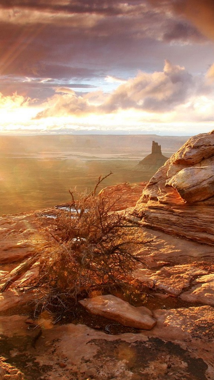 Brown Grass on Brown Rock Formation During Daytime. Wallpaper in 720x1280 Resolution