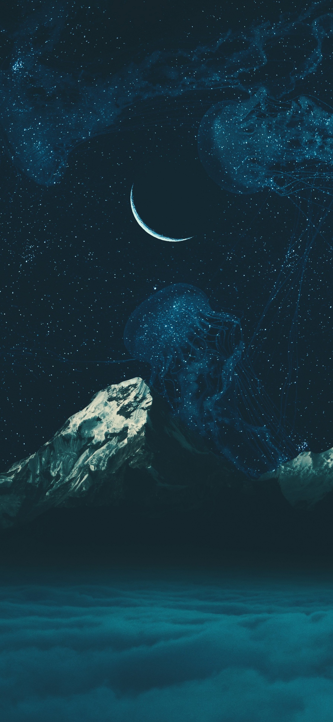 Eau, Terre, Biologie Marine, Environnement Sous-marin, Mer. Wallpaper in 1125x2436 Resolution