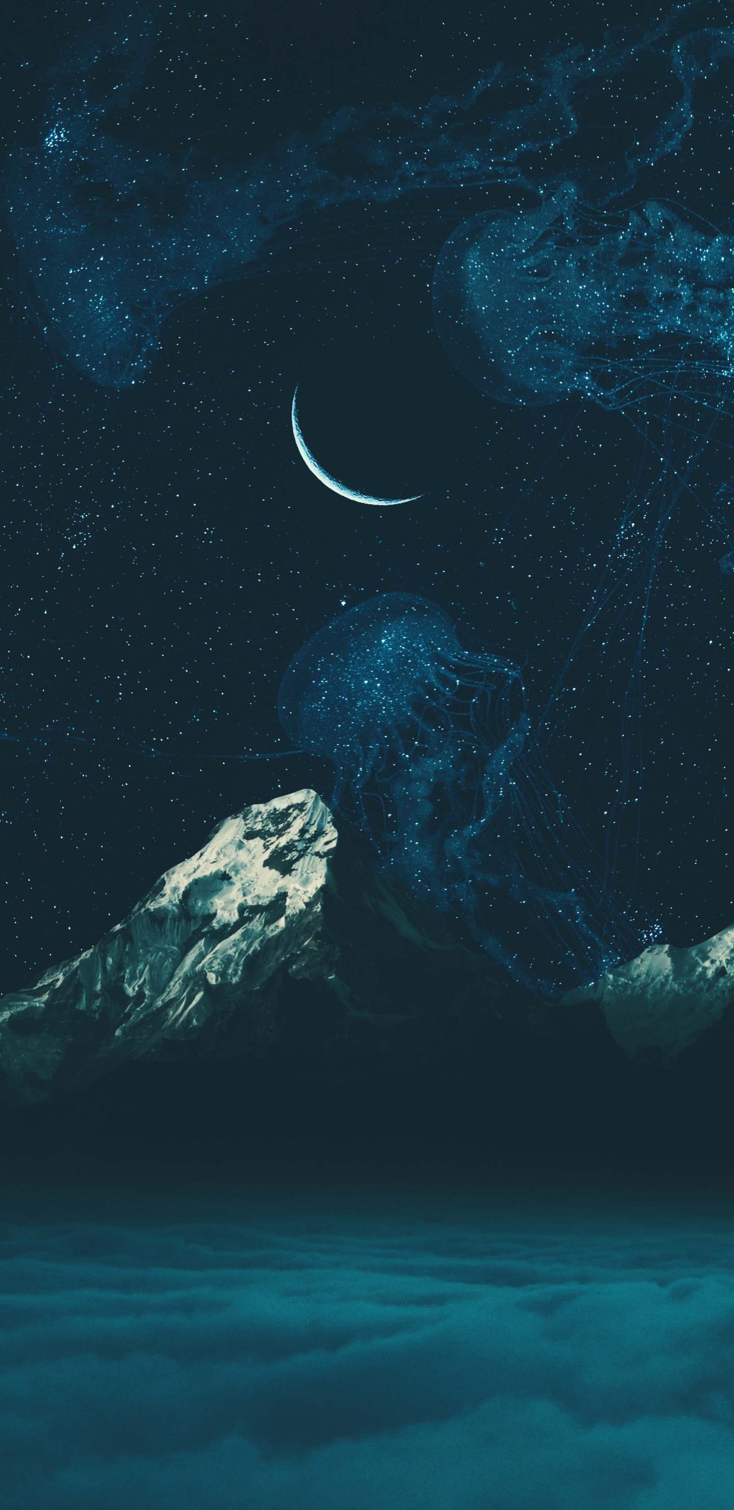 海洋生物学, 大海, 气氛, Azure, 月亮 壁纸 1440x2960 允许