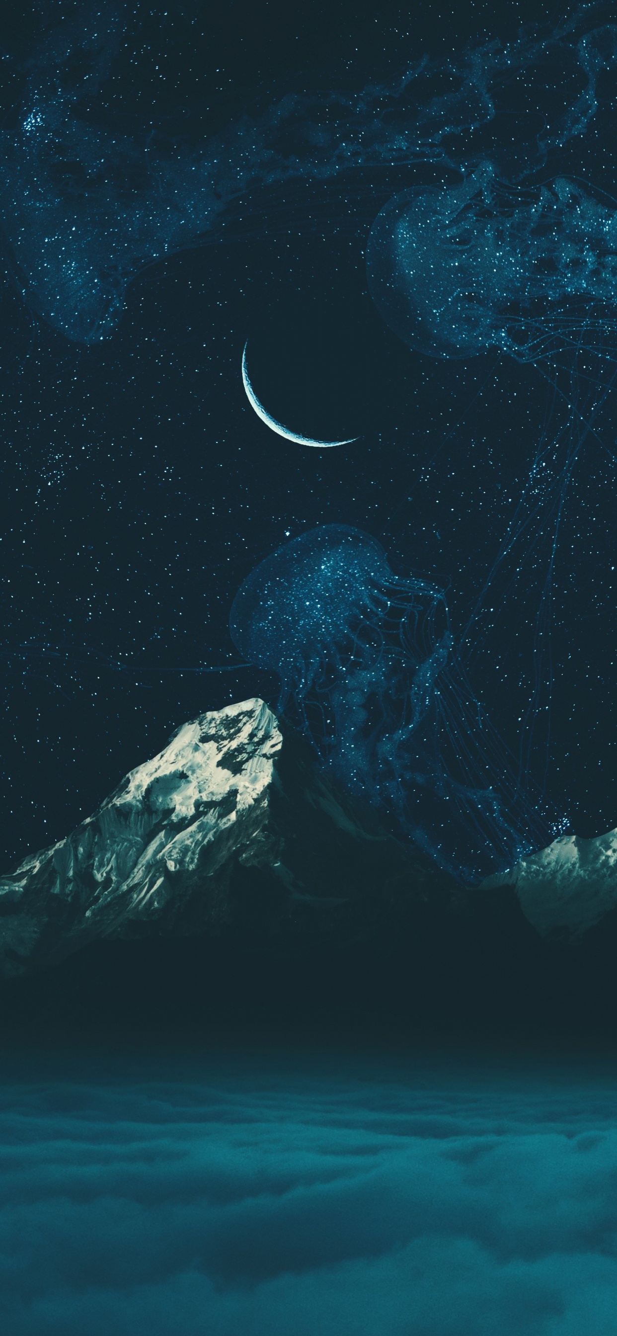 Water, Earth, Marine Biology, Underwater Environment, Sea. Wallpaper in 1242x2688 Resolution