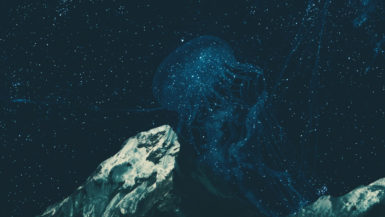 Water, Earth, Marine Biology, Underwater Environment, Sea. Wallpaper in 1280x720 Resolution