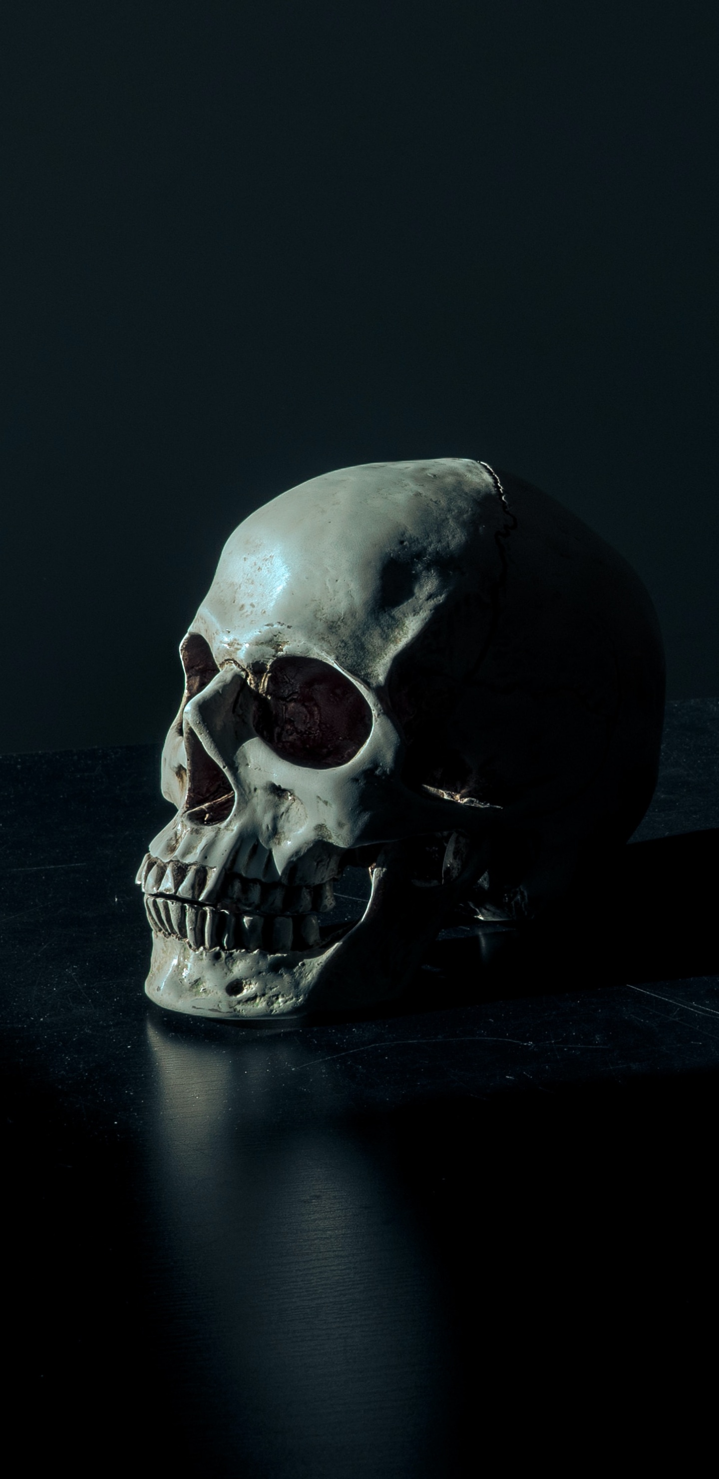 Esqueleto, Cabeza de Esqueleto Oscuro, Calavera Negra, Humanos, Cuerpo Humano. Wallpaper in 1440x2960 Resolution