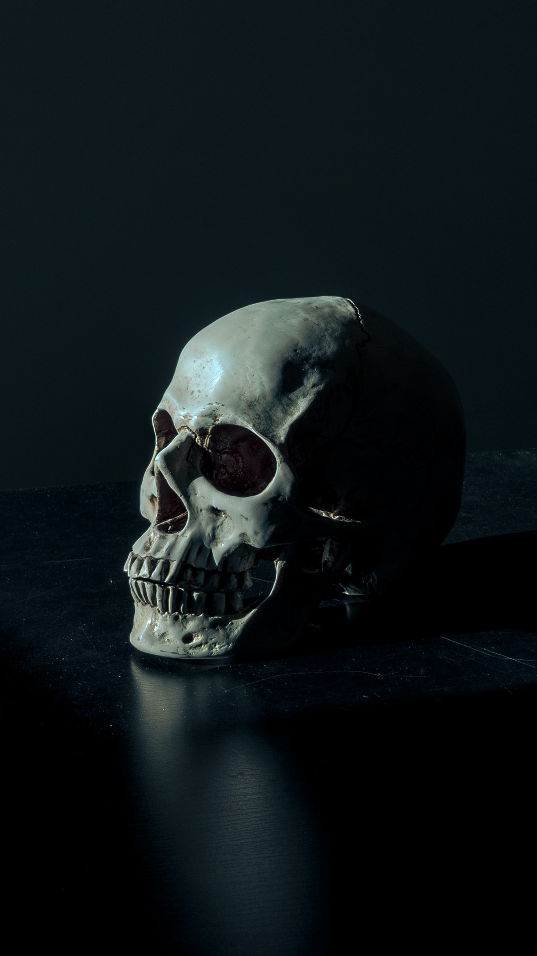 Skeleton, Skeleton Head Dark, Black Skull, Human, Human Body. Wallpaper in 1080x1920 Resolution