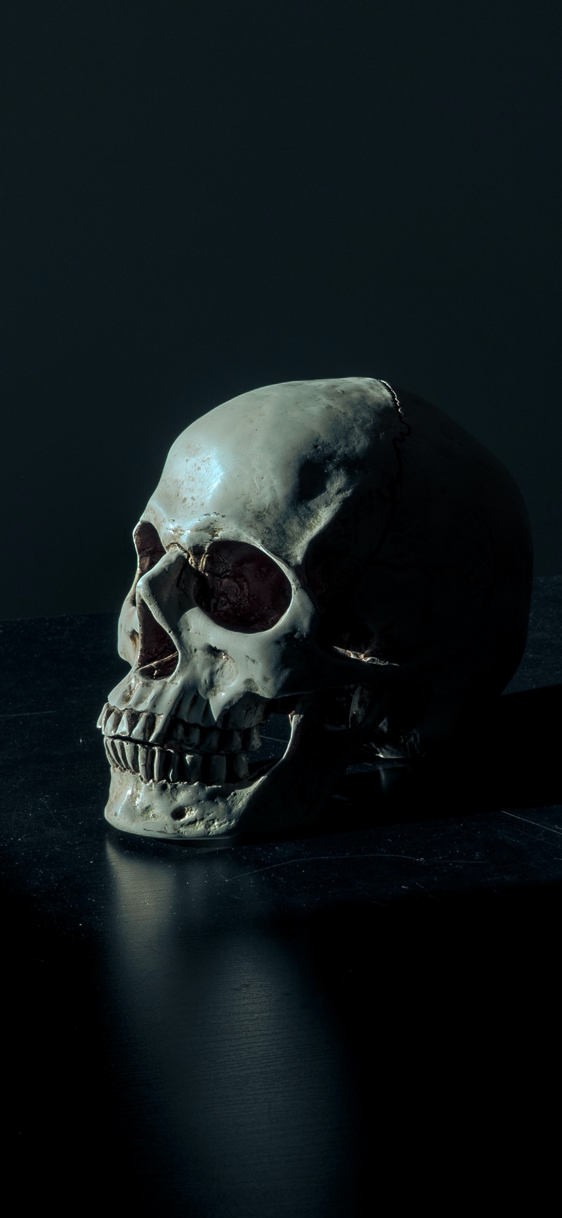 Skeleton, Skeleton Head Dark, Black Skull, Human, Human Body. Wallpaper in 1125x2436 Resolution