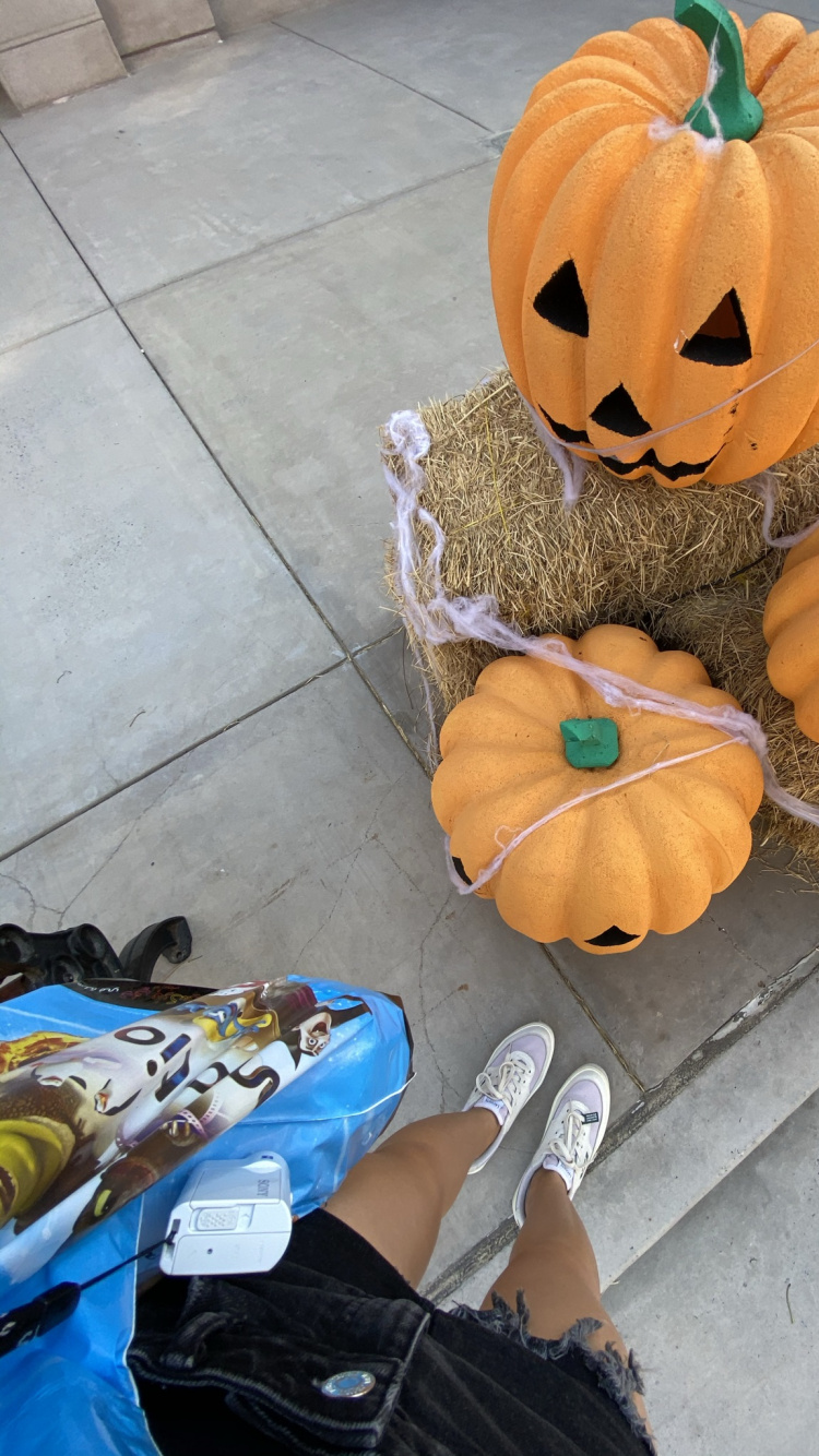 Winter Squash, Squash, Jack o Lantern, Calabaza, Vegetable. Wallpaper in 750x1334 Resolution