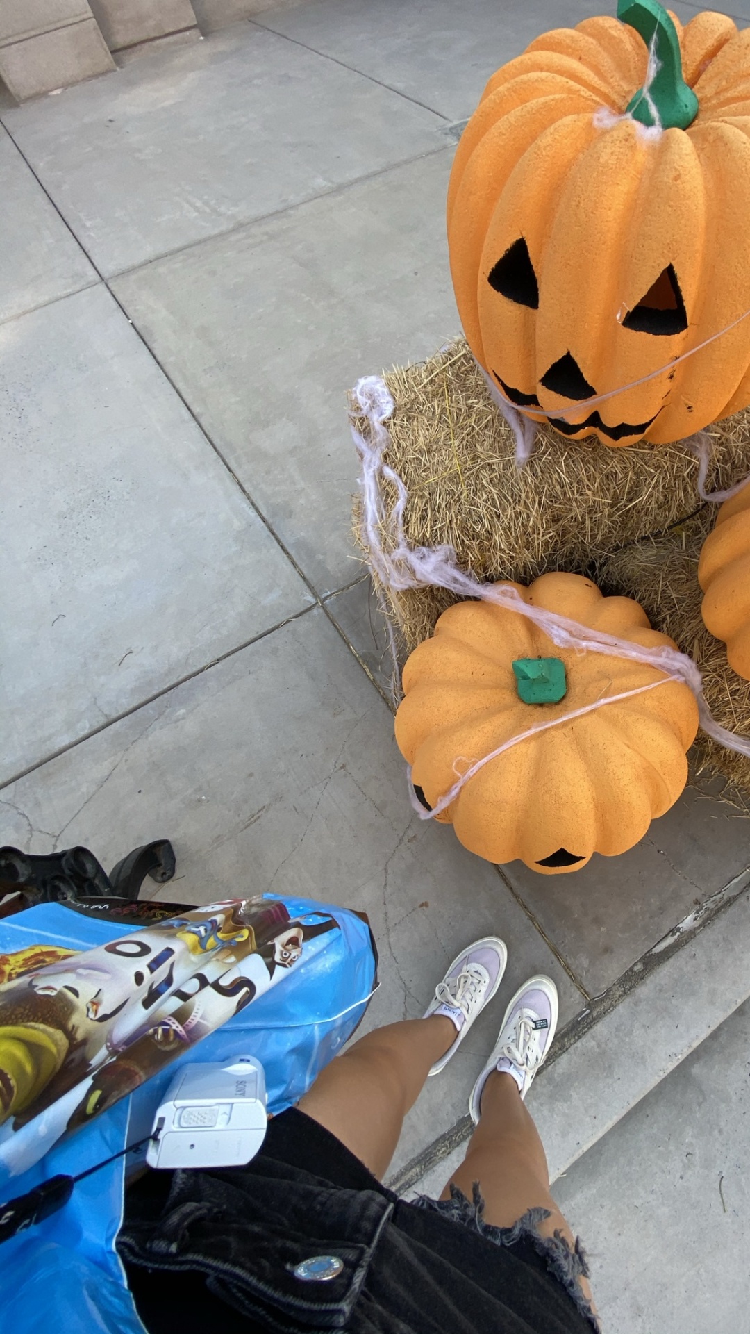 Winter Squash, Squash, Jack o Lantern, Calabaza, Zutaten. Wallpaper in 1080x1920 Resolution
