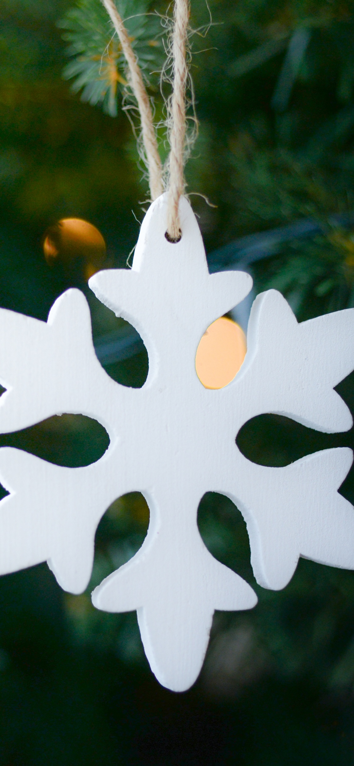 Usine, Décoration de Noël, Flocon, Ornement de Noël, Arbre de Noël. Wallpaper in 1125x2436 Resolution