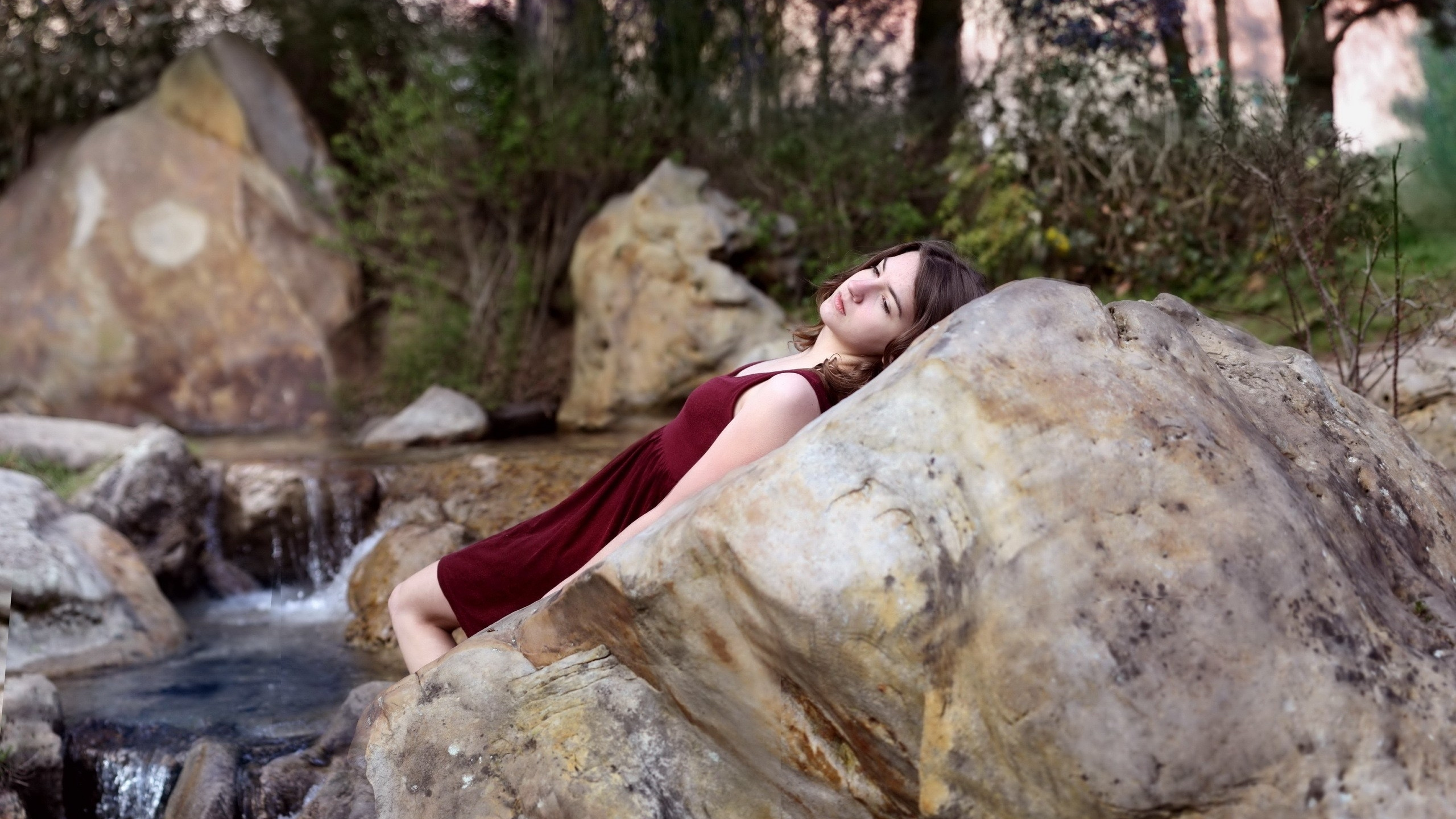 Agua, Boulder, Madera, Fawn, Ocio. Wallpaper in 2560x1440 Resolution