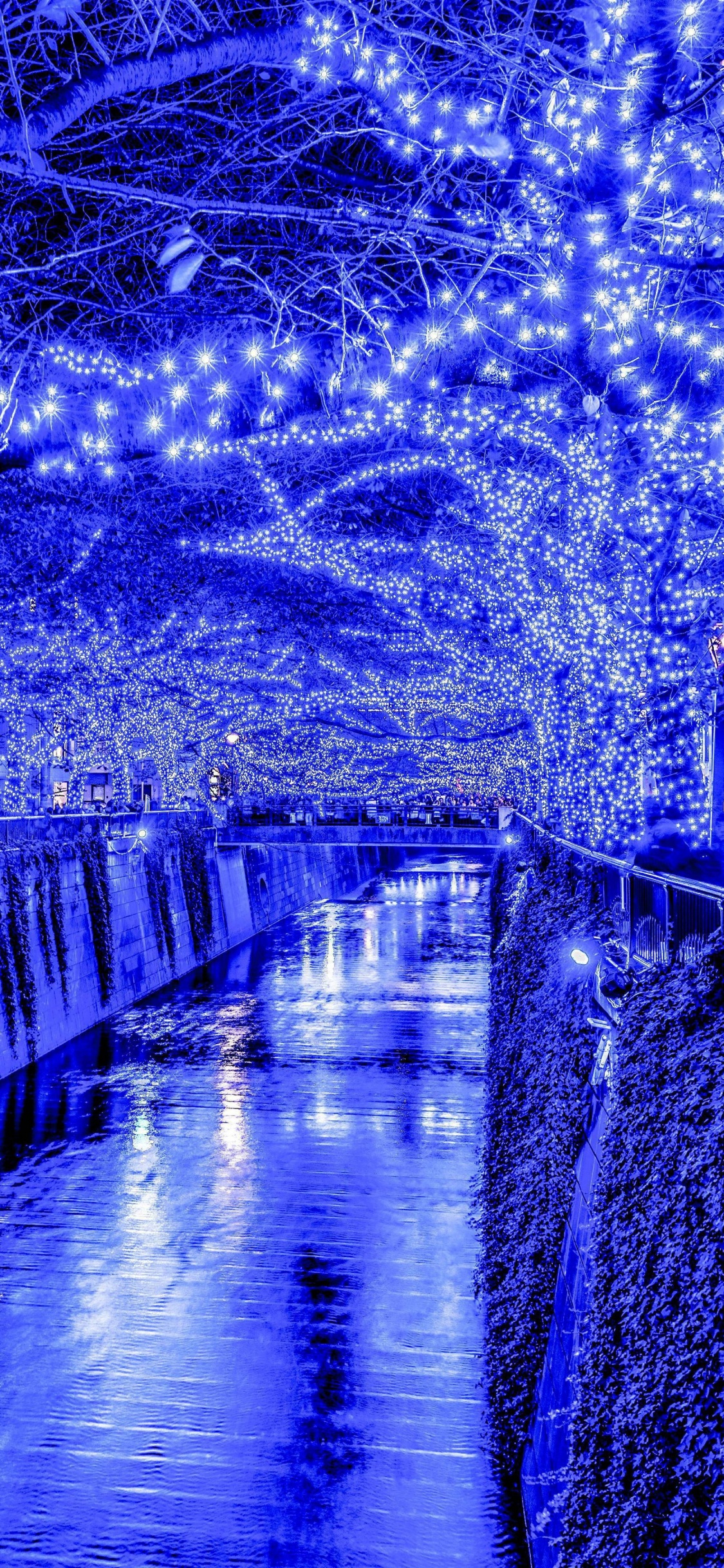 Cuerpo de Agua Entre Árboles y Edificios Durante la Noche. Wallpaper in 1125x2436 Resolution