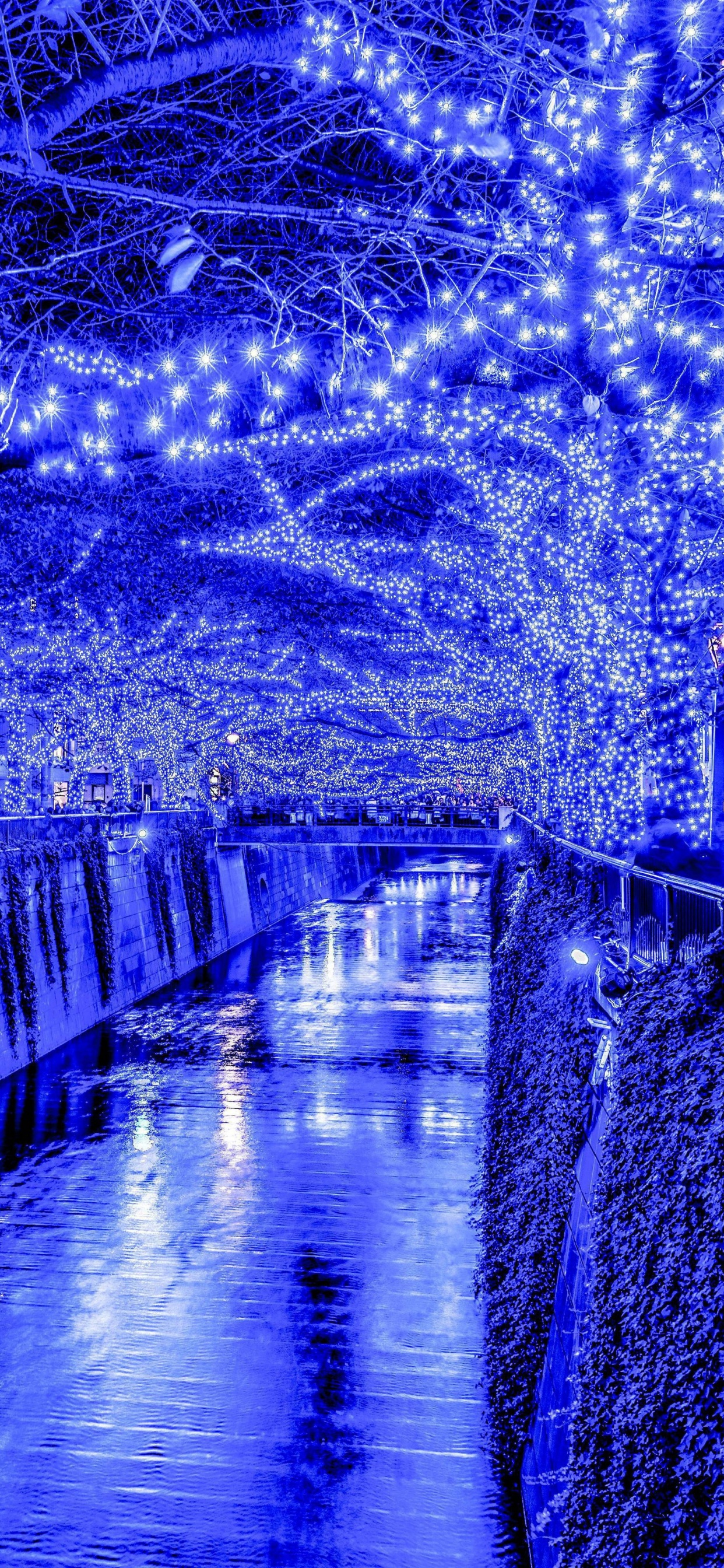 Cuerpo de Agua Entre Árboles y Edificios Durante la Noche. Wallpaper in 1242x2688 Resolution