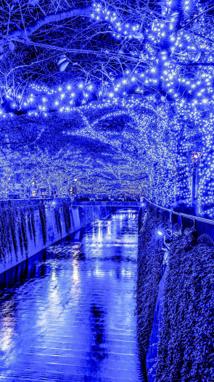 Cuerpo de Agua Entre Árboles y Edificios Durante la Noche. Wallpaper in 750x1334 Resolution