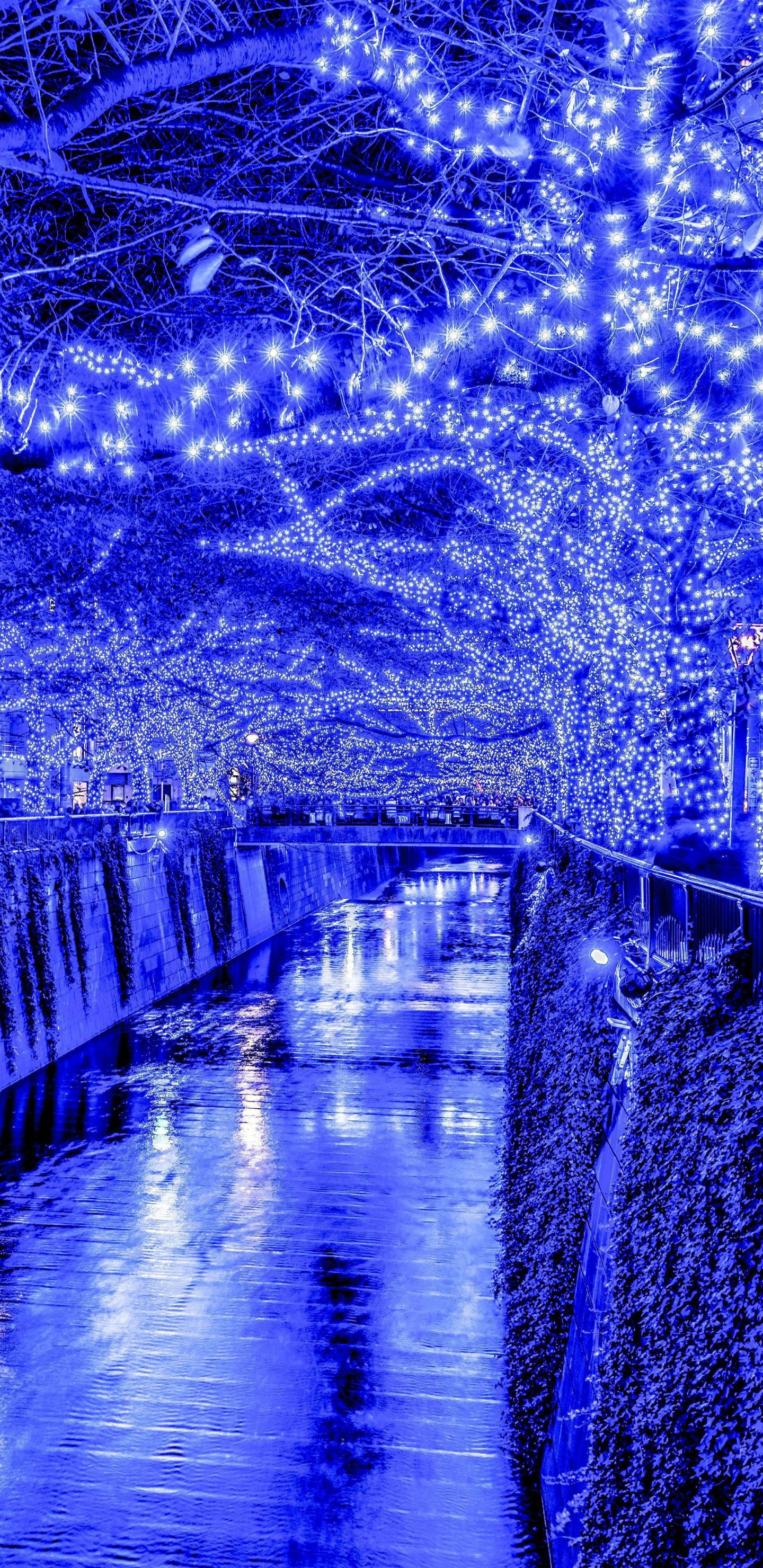 Gewässer Zwischen Bäumen Und Gebäuden Während Der Nacht. Wallpaper in 1440x2960 Resolution