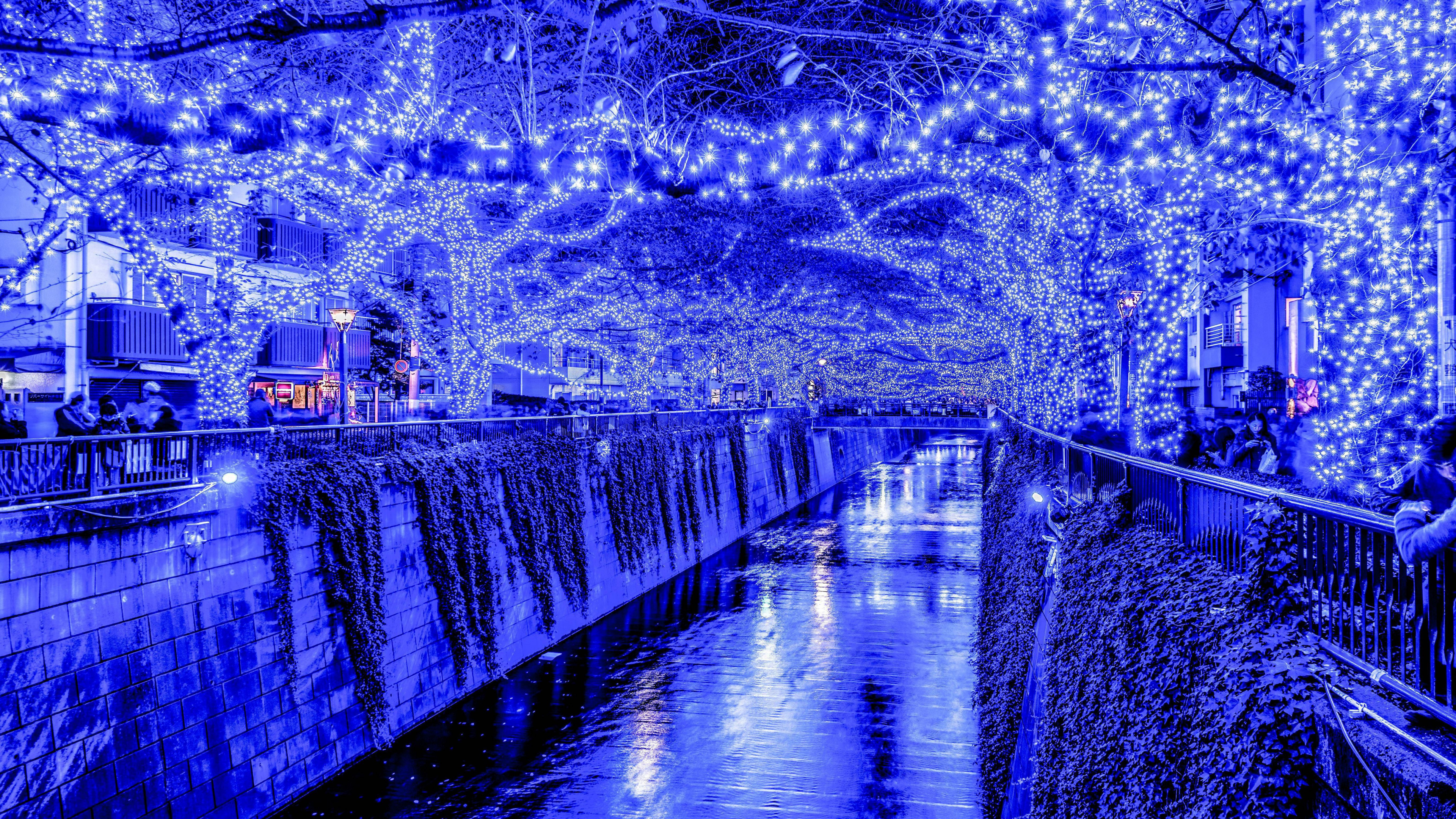 Body of Water Between Trees and Buildings During Night Time. Wallpaper in 3840x2160 Resolution