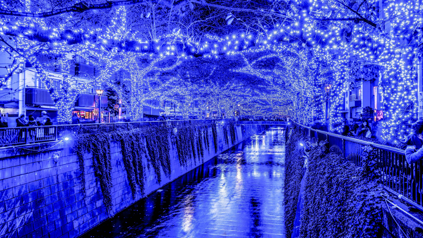 Plan D'eau Entre Les Arbres et Les Bâtiments Pendant la Nuit. Wallpaper in 1366x768 Resolution