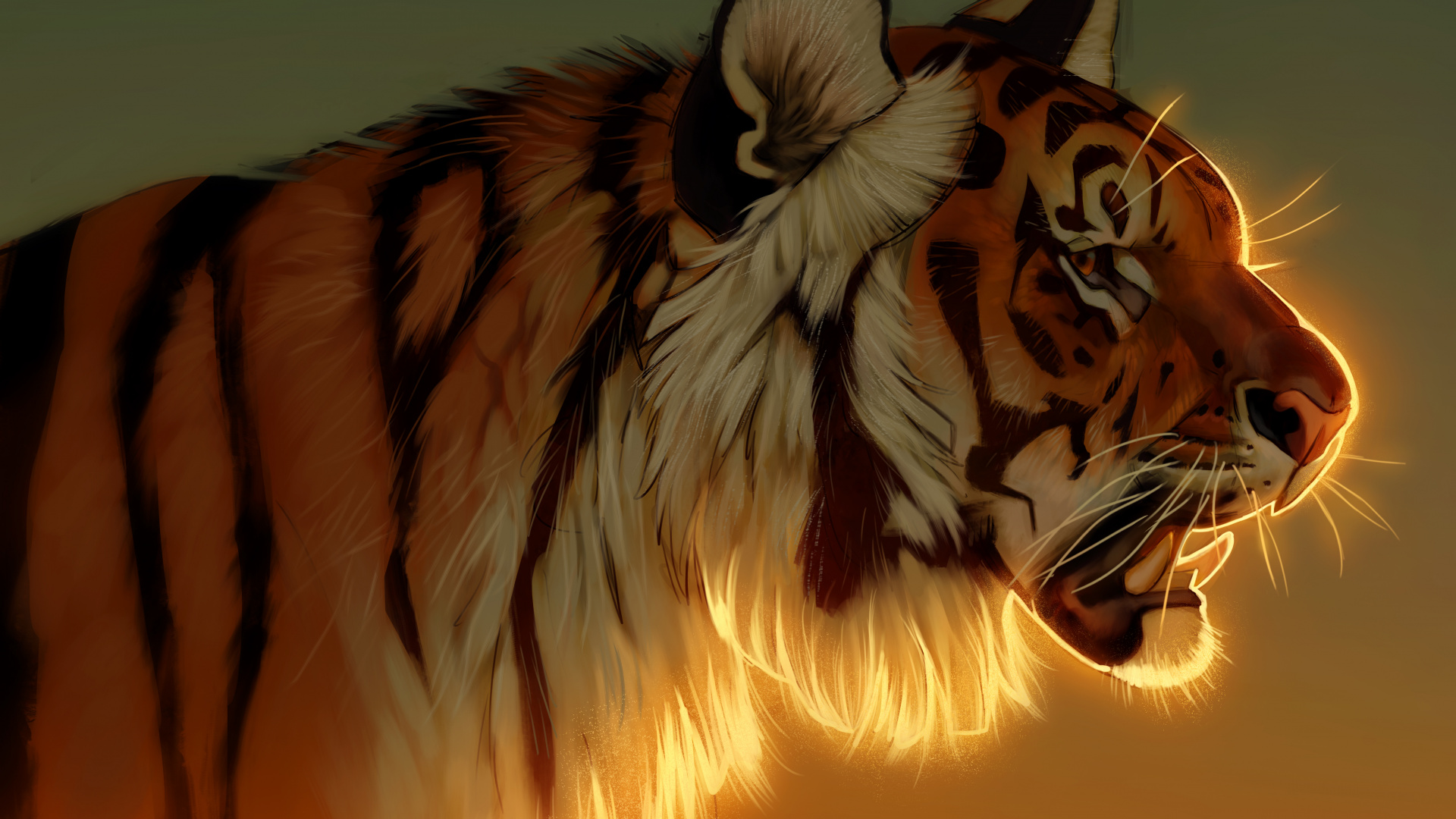 Tigre Avec Fond Clair Orange. Wallpaper in 1920x1080 Resolution