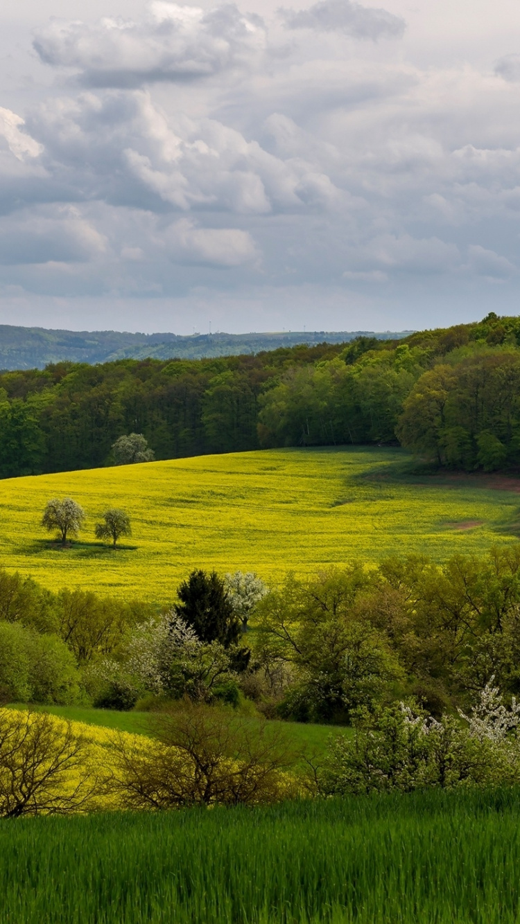 Green Grass Field Under White Clouds and Blue Sky During Daytime. Wallpaper in 750x1334 Resolution