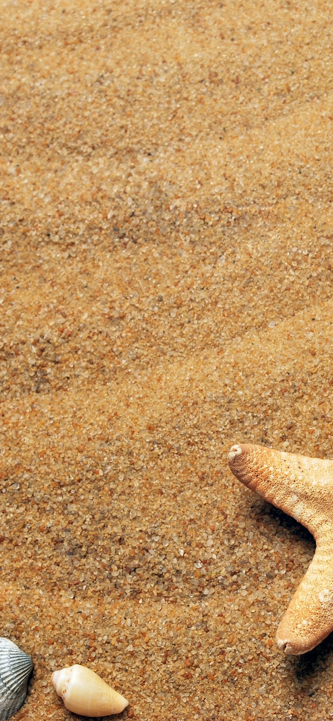 Plage, Été, Lumière, Environnement Naturel, Matière Naturelle. Wallpaper in 1125x2436 Resolution