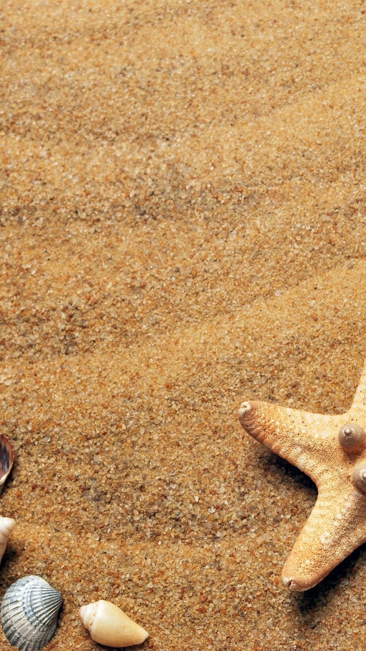 Playa, Verano, Luz, Entorno Natural, Material Natural. Wallpaper in 720x1280 Resolution