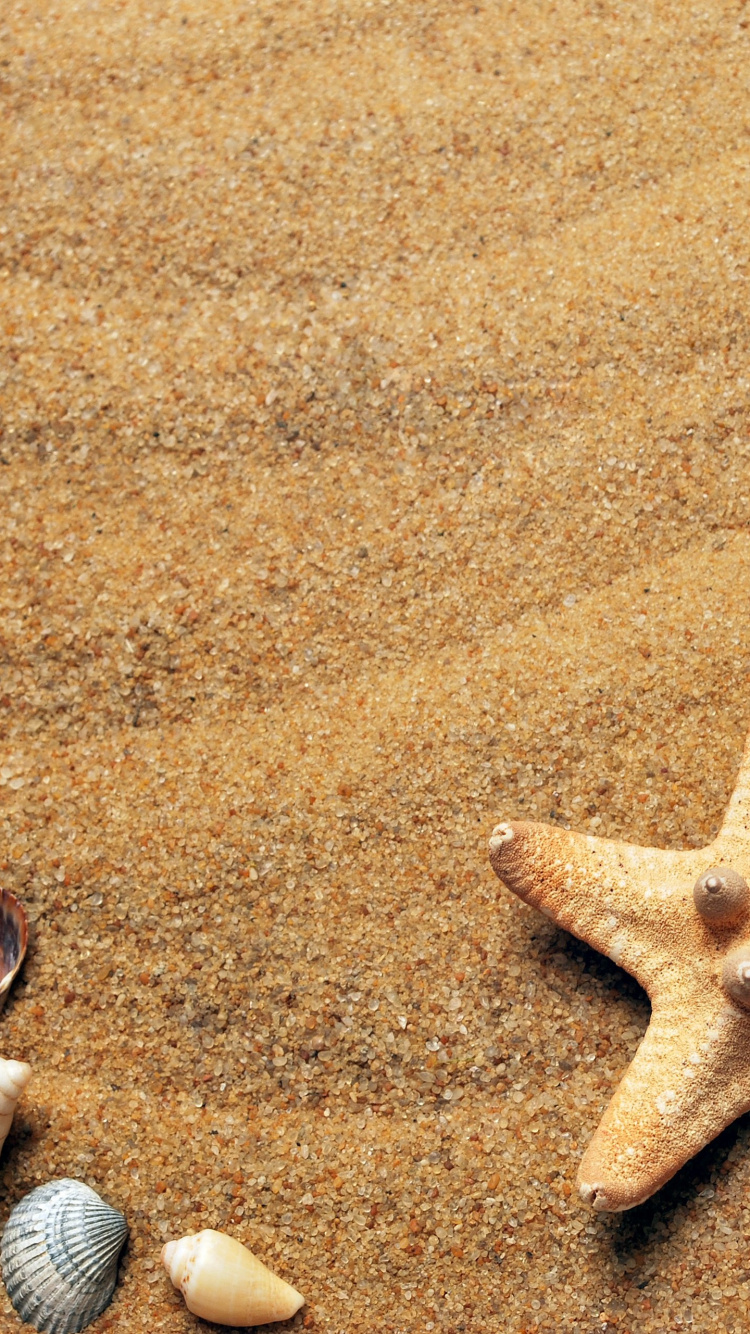 Playa, Verano, Luz, Entorno Natural, Material Natural. Wallpaper in 750x1334 Resolution