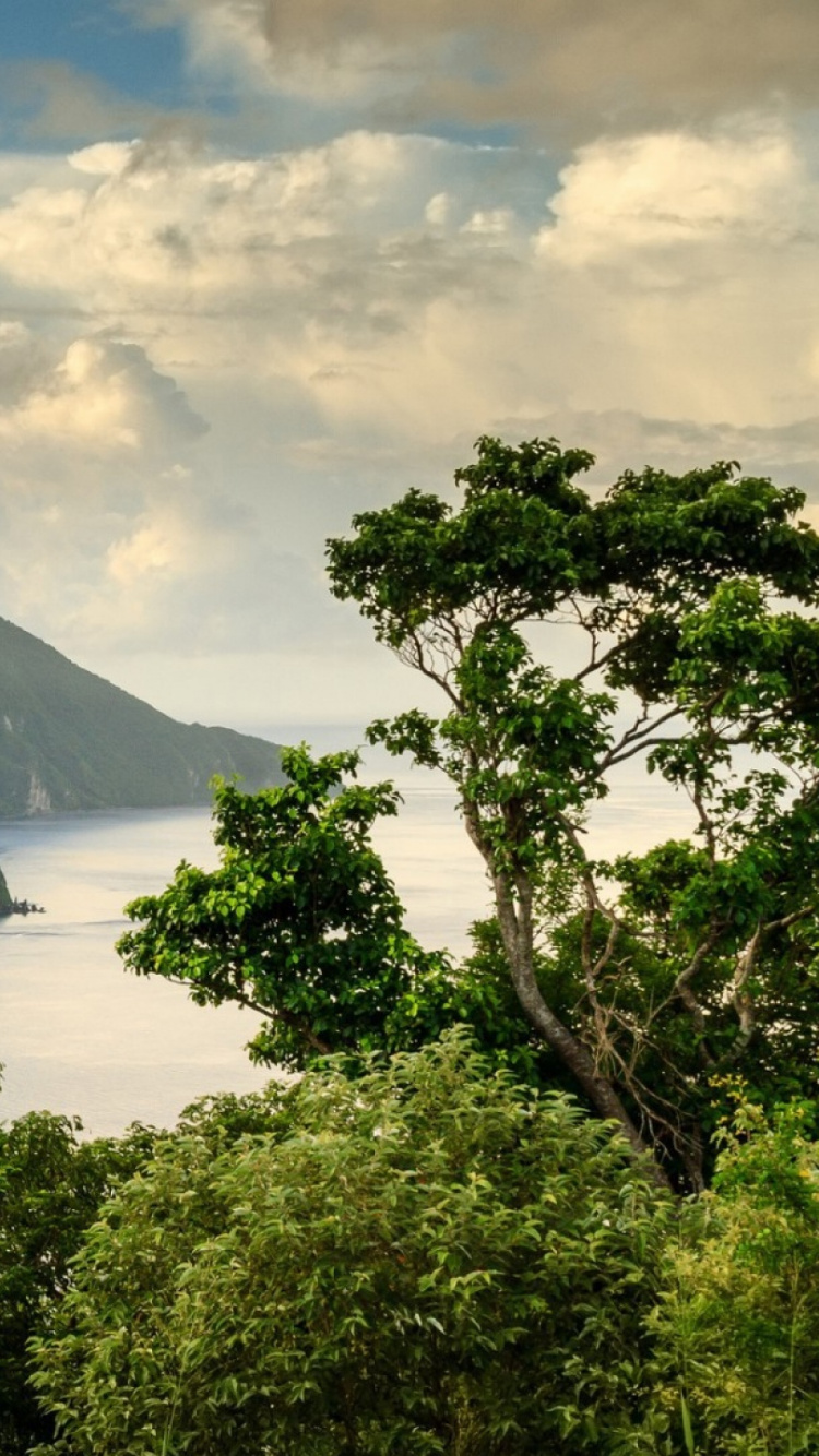 性质, 高地, 安装的风景, 山站, 自然保护区 壁纸 750x1334 允许