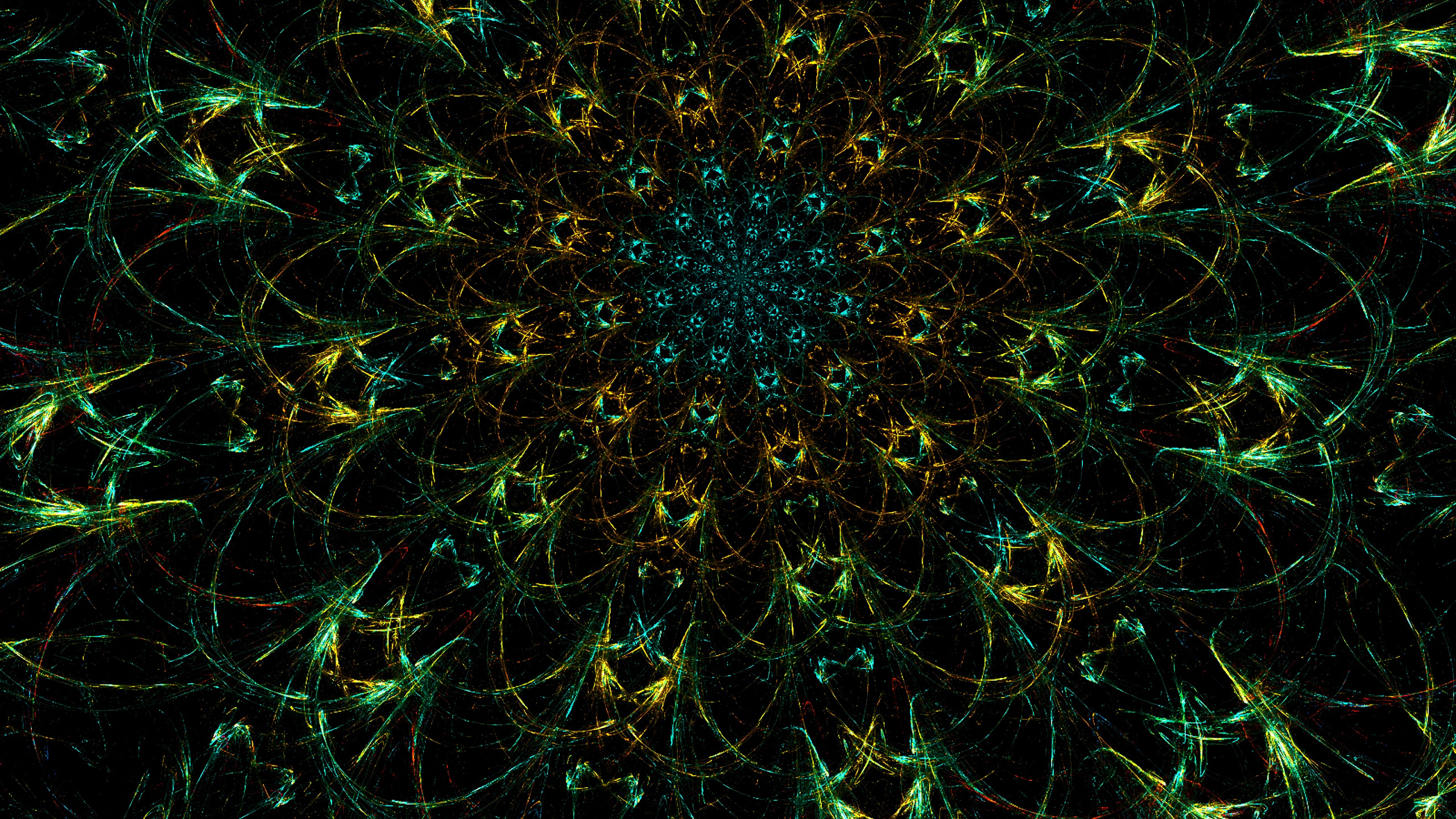 Gelbe Blume Mit Grünen Blättern. Wallpaper in 2560x1440 Resolution