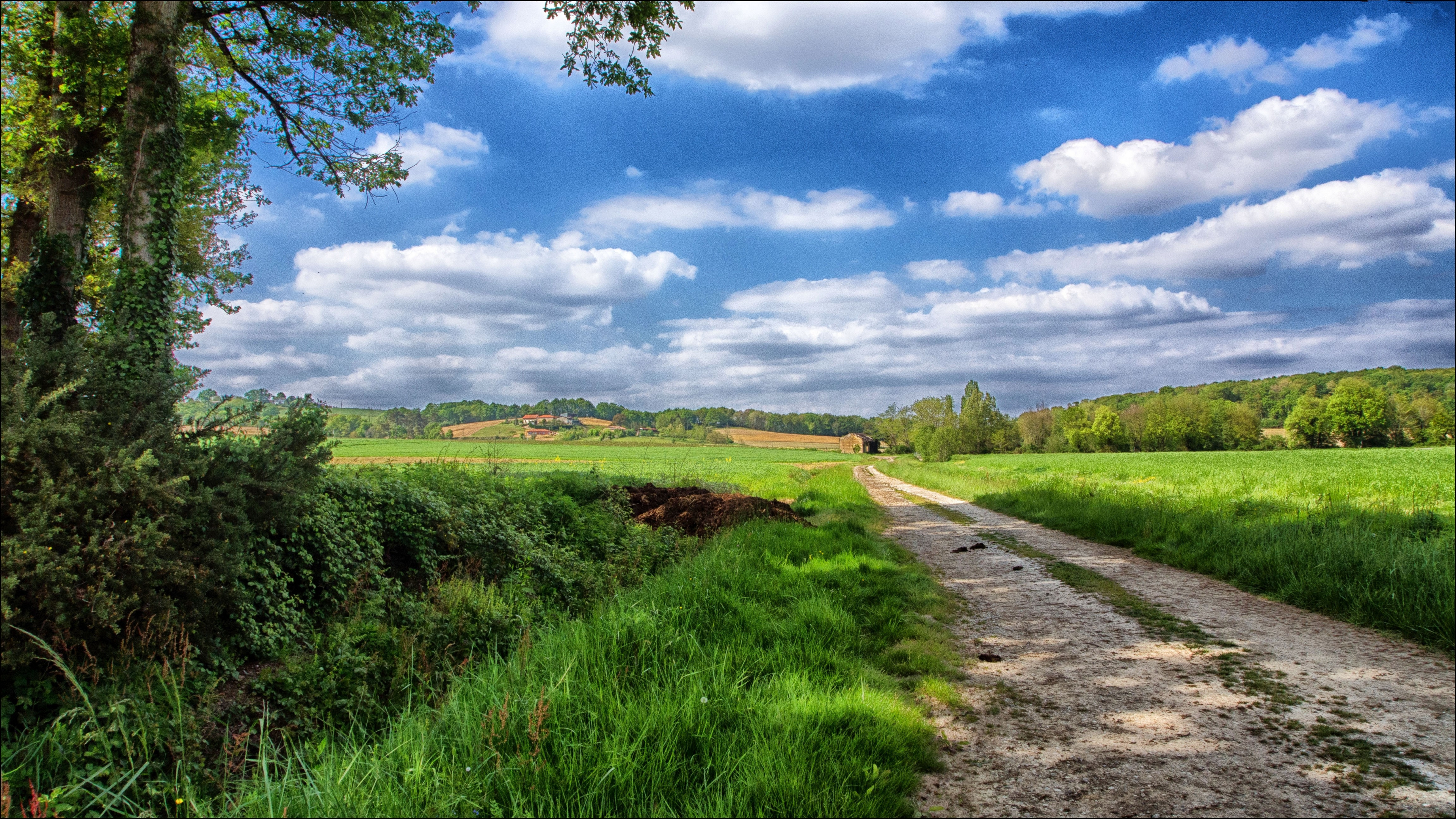 Green Grass Field Under Blue Sky During Daytime. Wallpaper in 3840x2160 Resolution