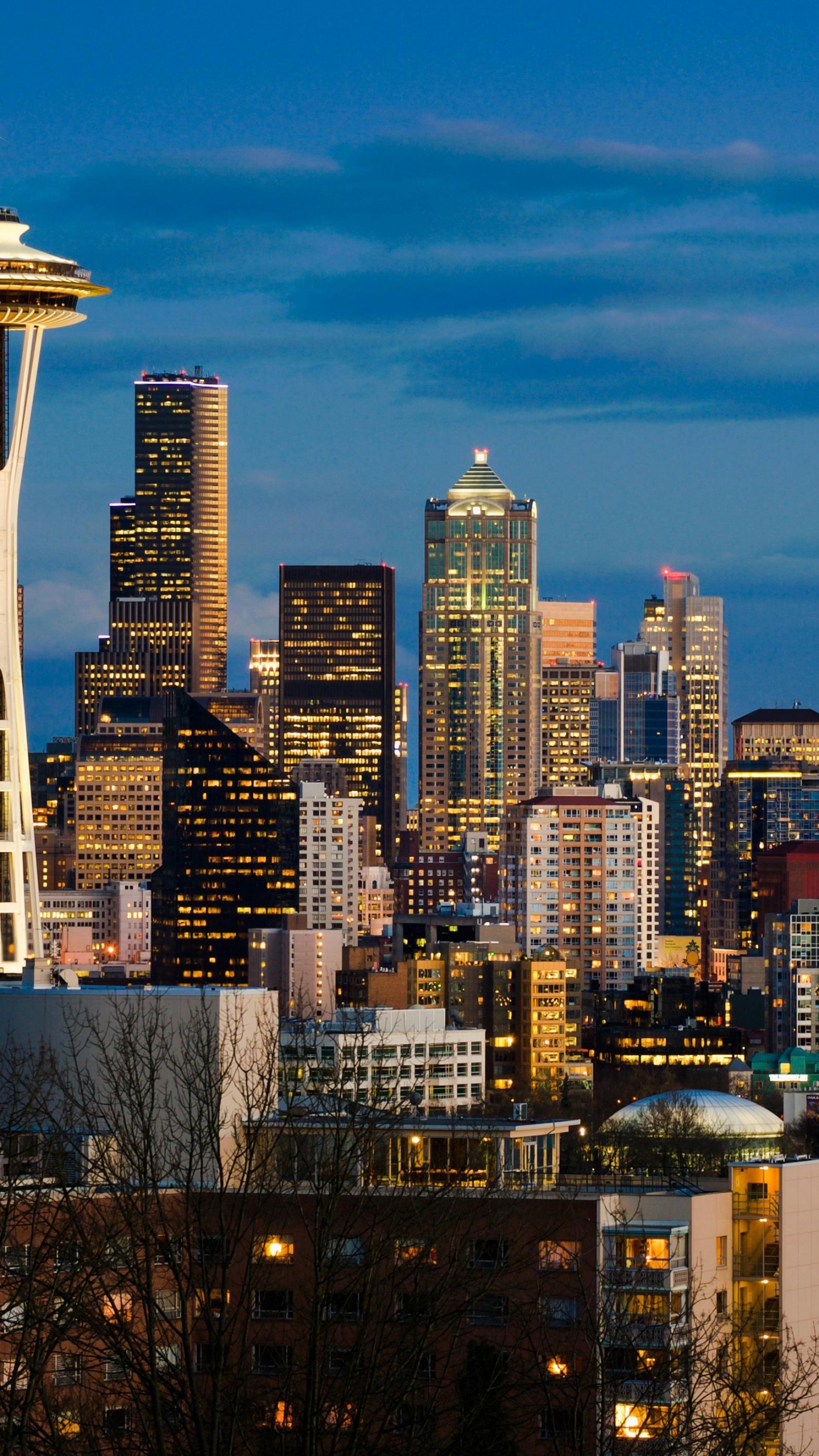 City Skyline During Night Time. Wallpaper in 1440x2560 Resolution