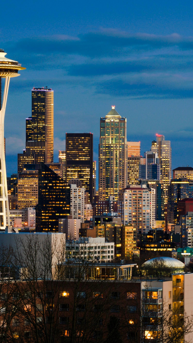 City Skyline During Night Time. Wallpaper in 750x1334 Resolution