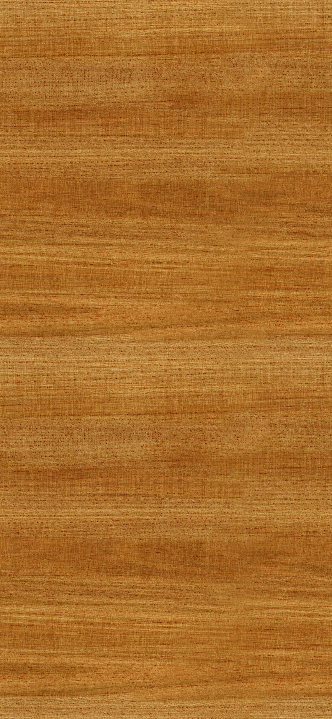 硬木, 木染色, 地板, 木, 棕色 壁纸 1125x2436 允许