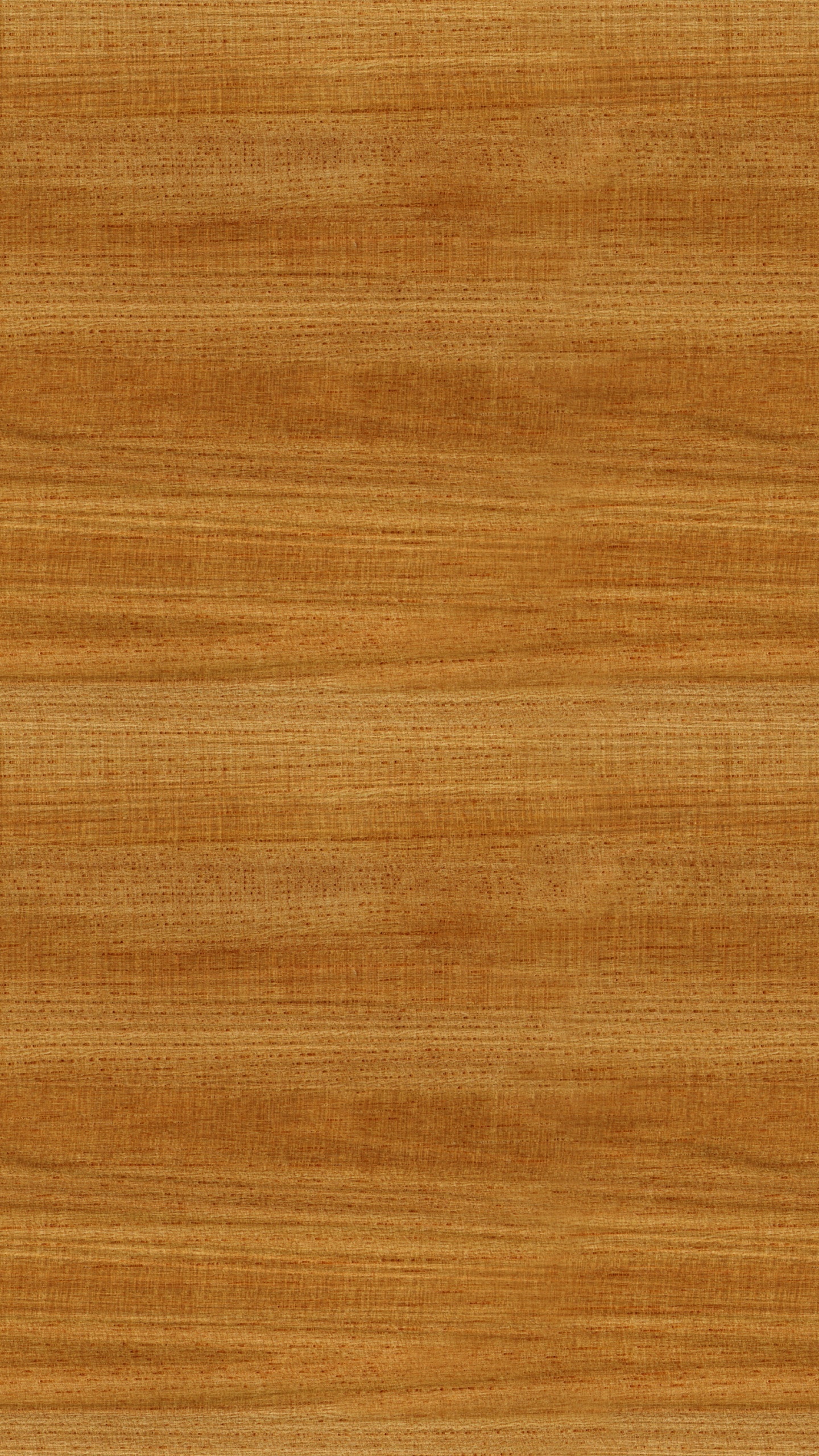 硬木, 木染色, 地板, 木, 棕色 壁纸 1440x2560 允许