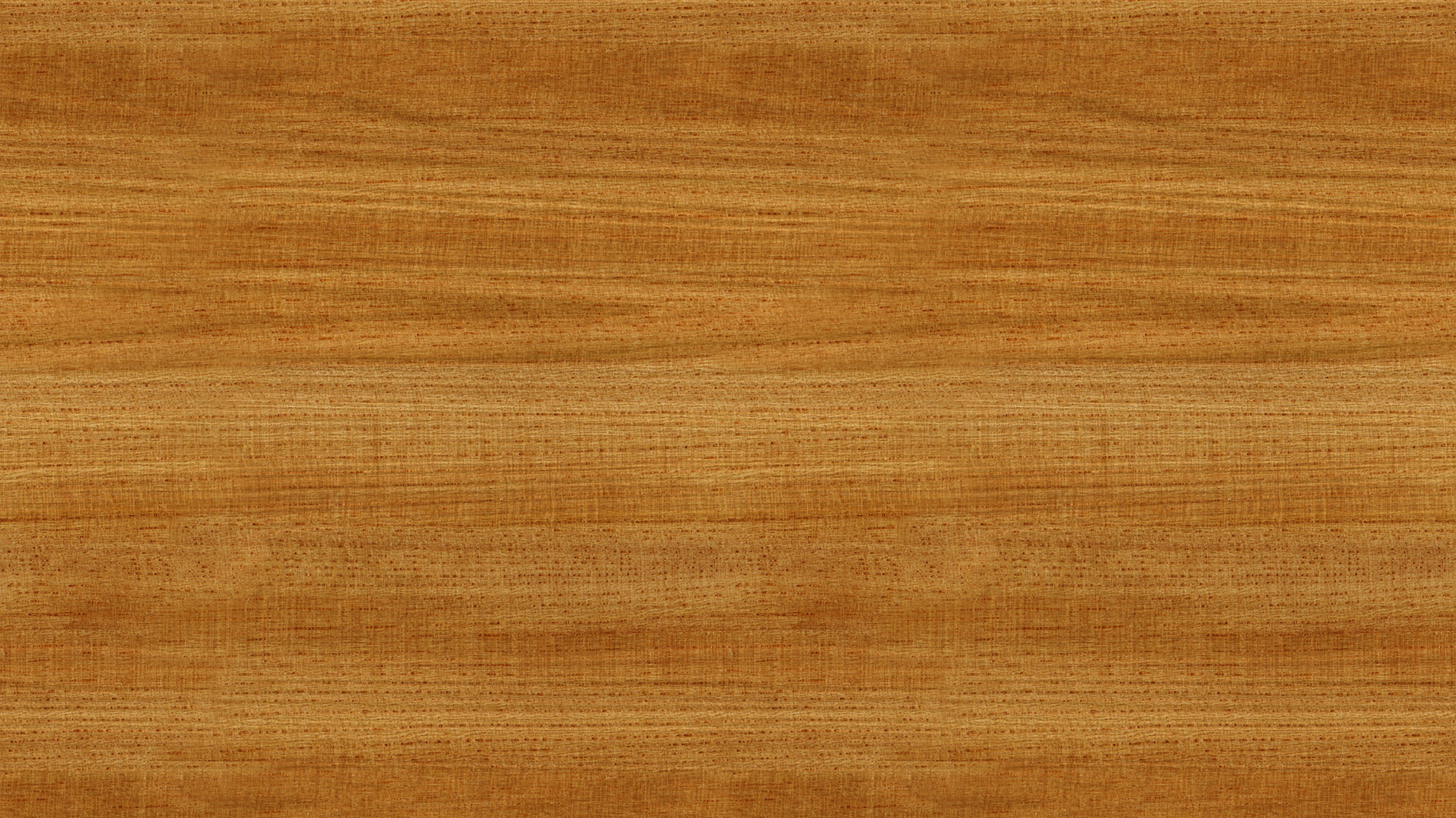 硬木, 木染色, 地板, 木, 棕色 壁纸 2560x1440 允许