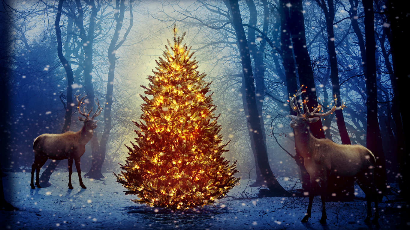 Christmas Nature, Deer, Christmas Tree, Christmas Day, Santa Claus. Wallpaper in 1366x768 Resolution