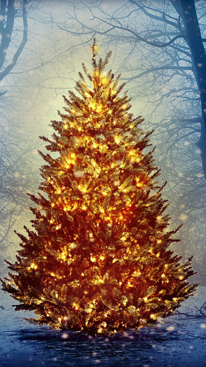 Christmas Nature, Deer, Christmas Tree, Christmas Day, Santa Claus. Wallpaper in 720x1280 Resolution