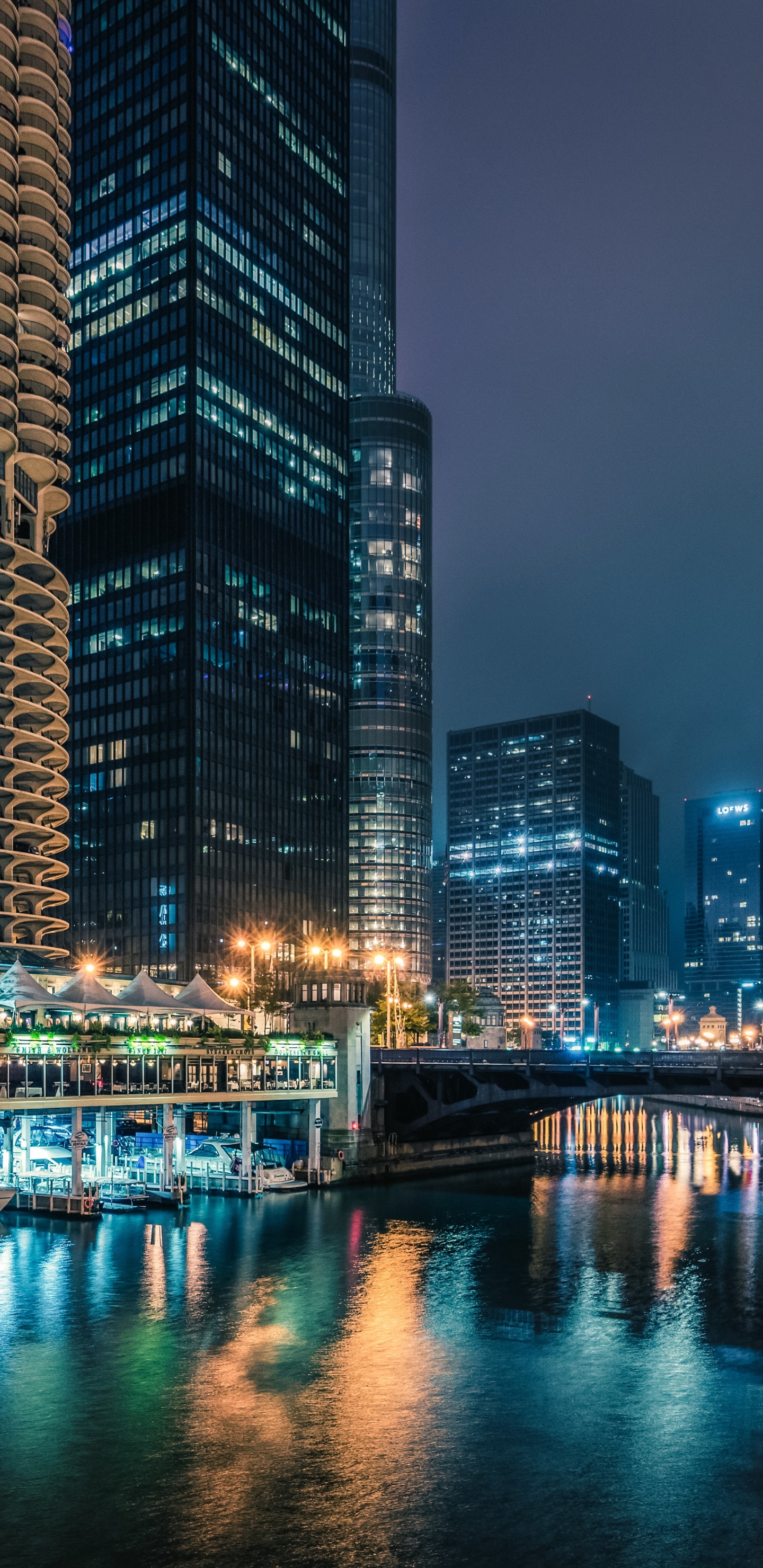 Cuerpo de Agua Entre Edificios de Gran Altura Durante la Noche.. Wallpaper in 1440x2960 Resolution