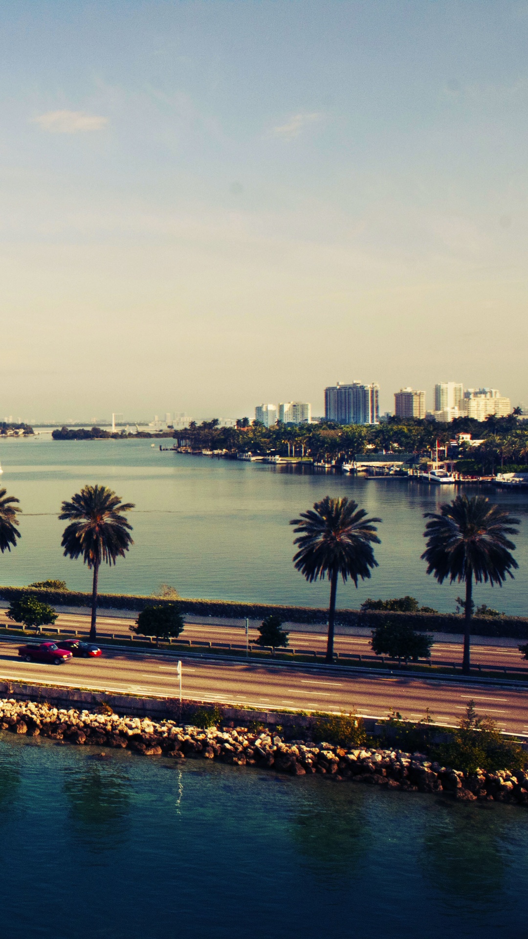 Palm Trees Near Body of Water During Daytime. Wallpaper in 1080x1920 Resolution