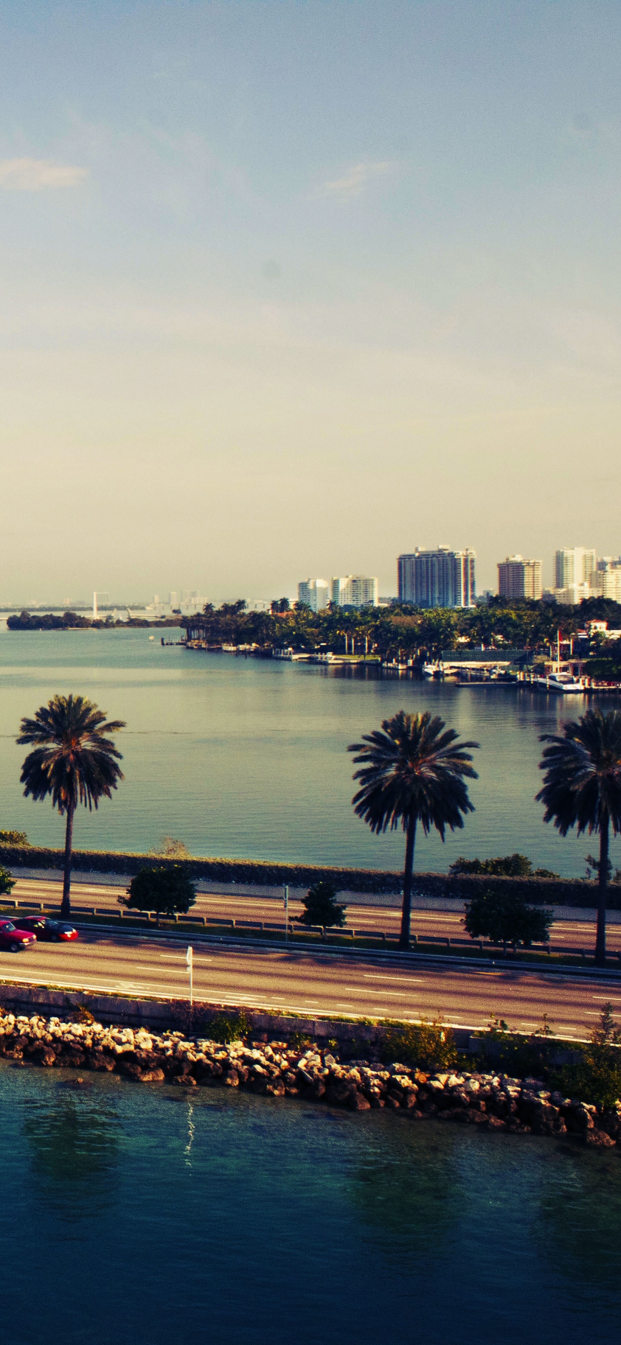Palm Trees Near Body of Water During Daytime. Wallpaper in 1242x2688 Resolution